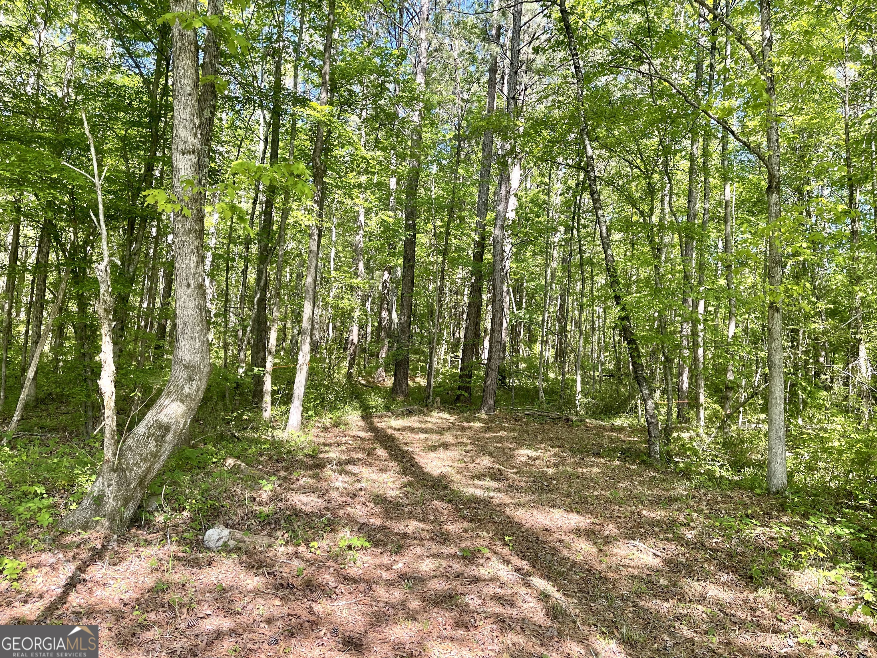 0 Everett Springs Road Armuchee GA 30105