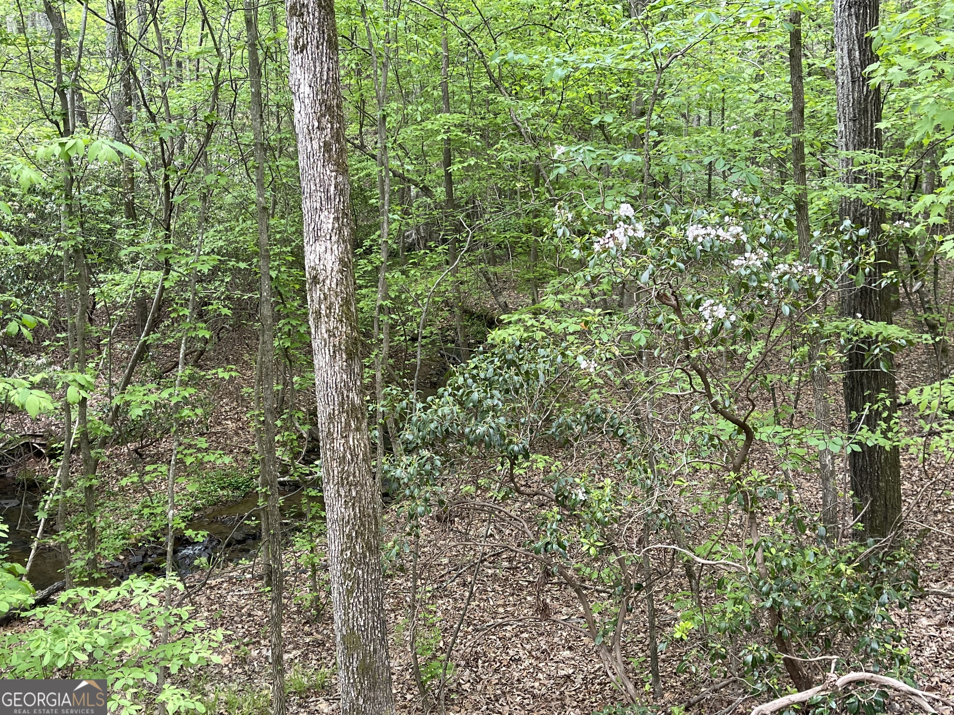 0 Everett Springs Road Armuchee GA 30105