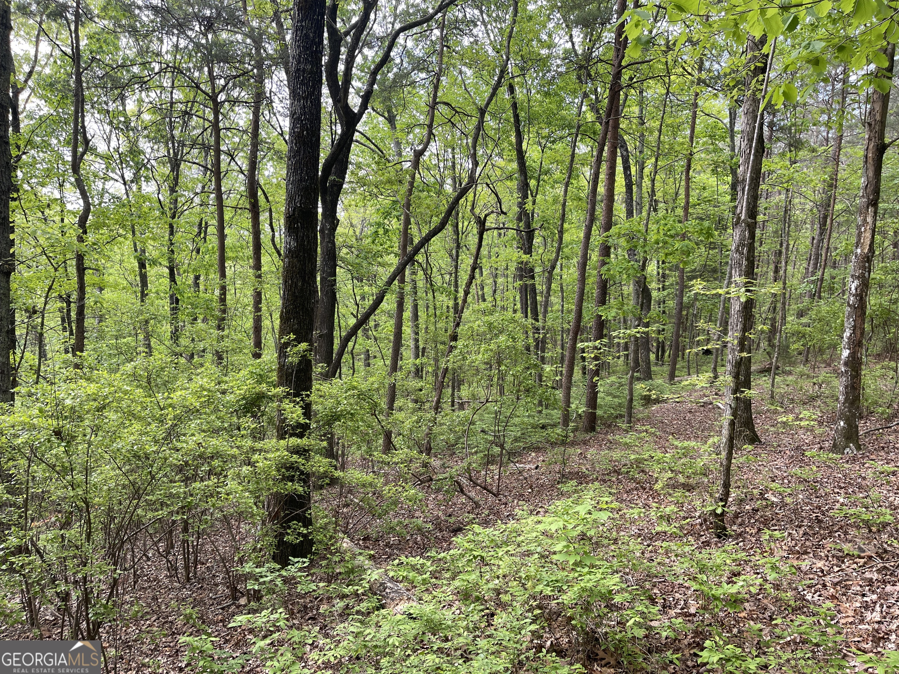 0 Everett Springs Road Armuchee GA 30105