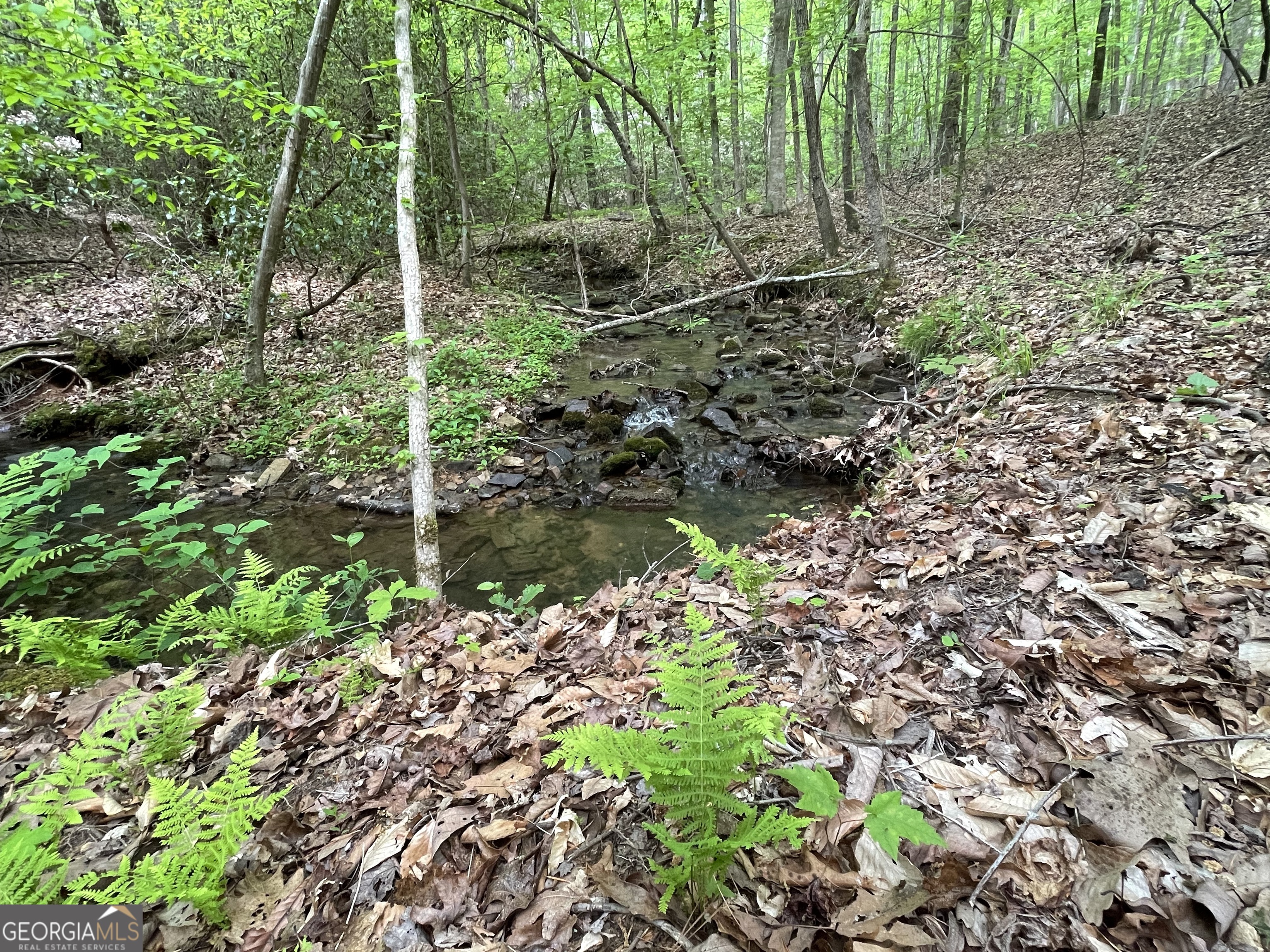 0 Everett Springs Road Armuchee GA 30105