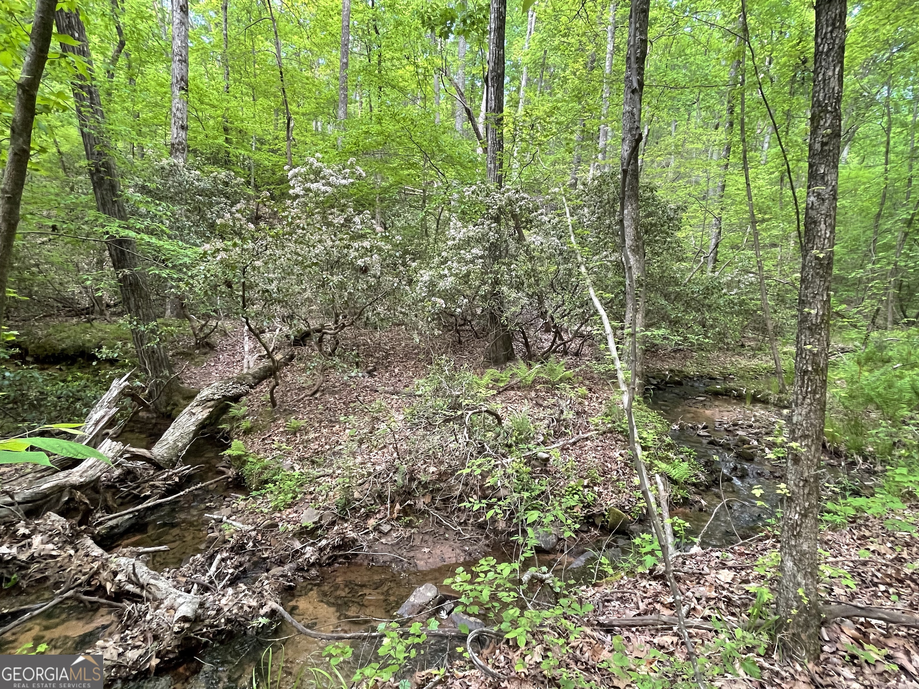 0 Everett Springs Road Armuchee GA 30105