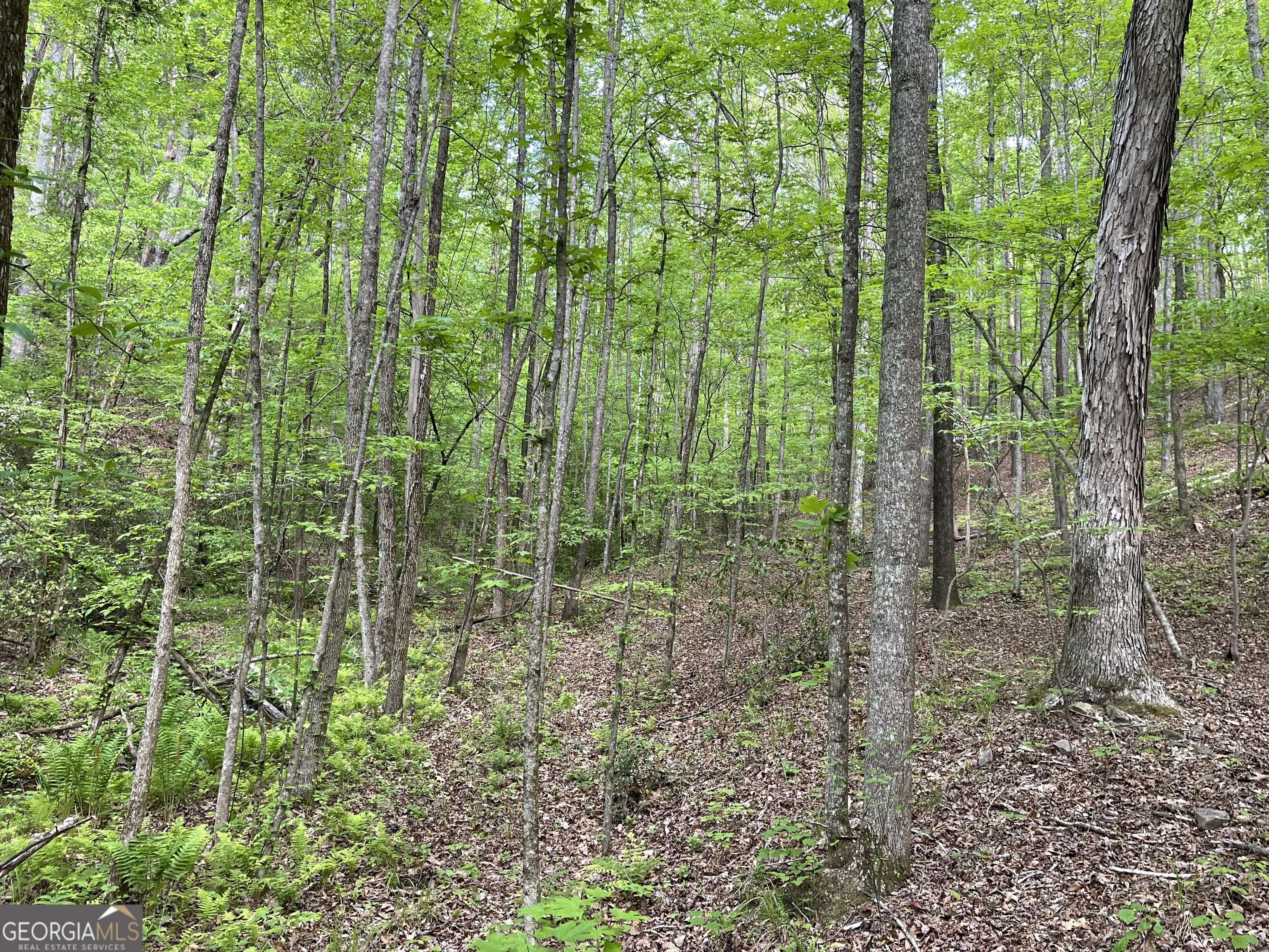 0 Everett Springs Road Armuchee GA 30105