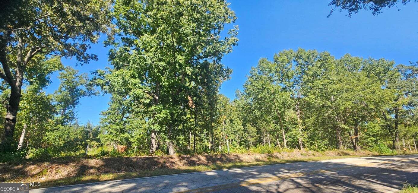 Tract 2 Bethany Church Road Lincolnton GA 30817