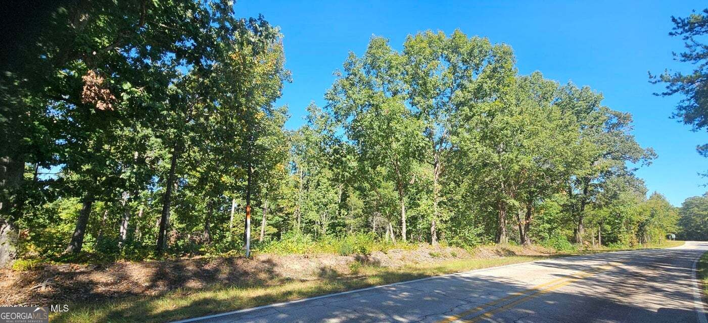 Tract 2 Bethany Church Road Lincolnton GA 30817