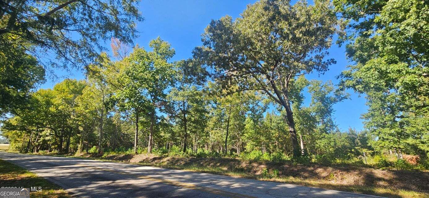 Tract 2 Bethany Church Road Lincolnton GA 30817