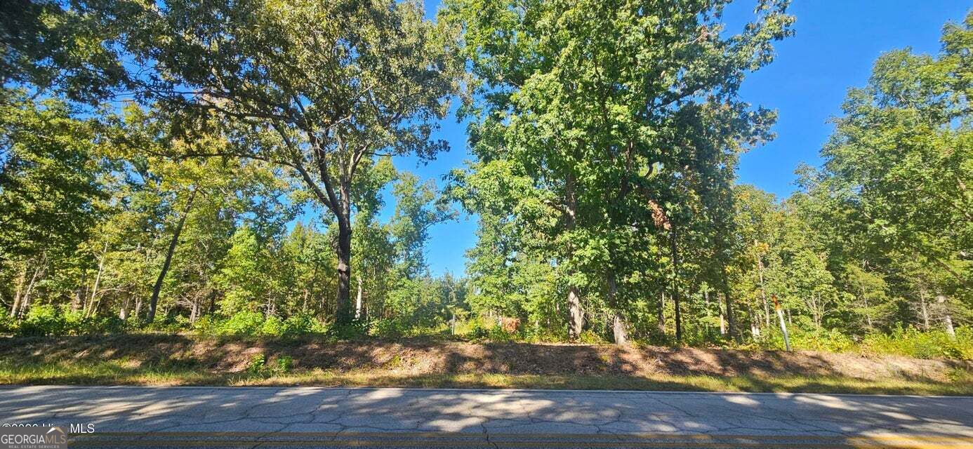 Tract 2 Bethany Church Road Lincolnton GA 30817