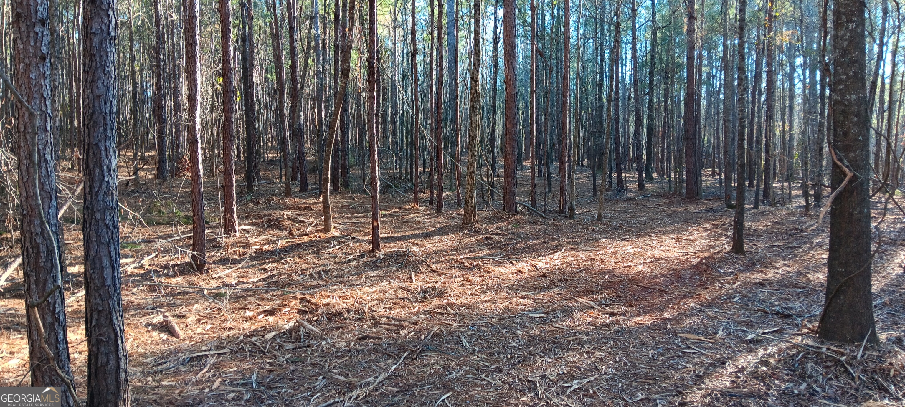 Tract D Cedardale Drive/sweetbriar Lane Griffin GA 30224