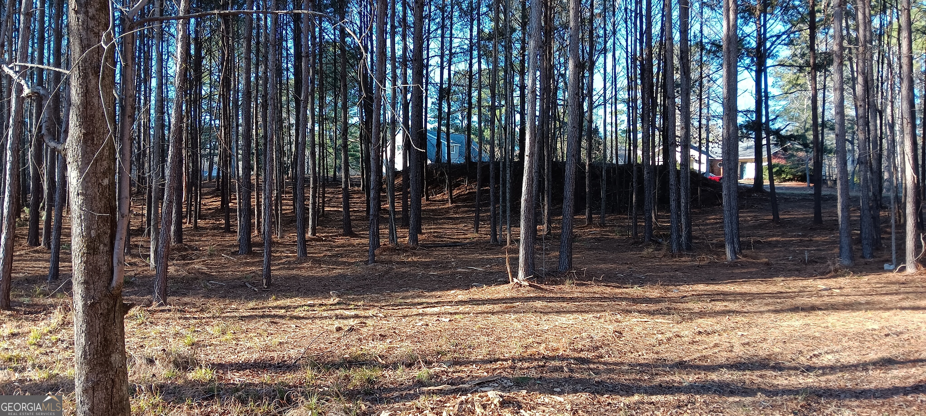 Tract D Cedardale Drive/sweetbriar Lane Griffin GA 30224