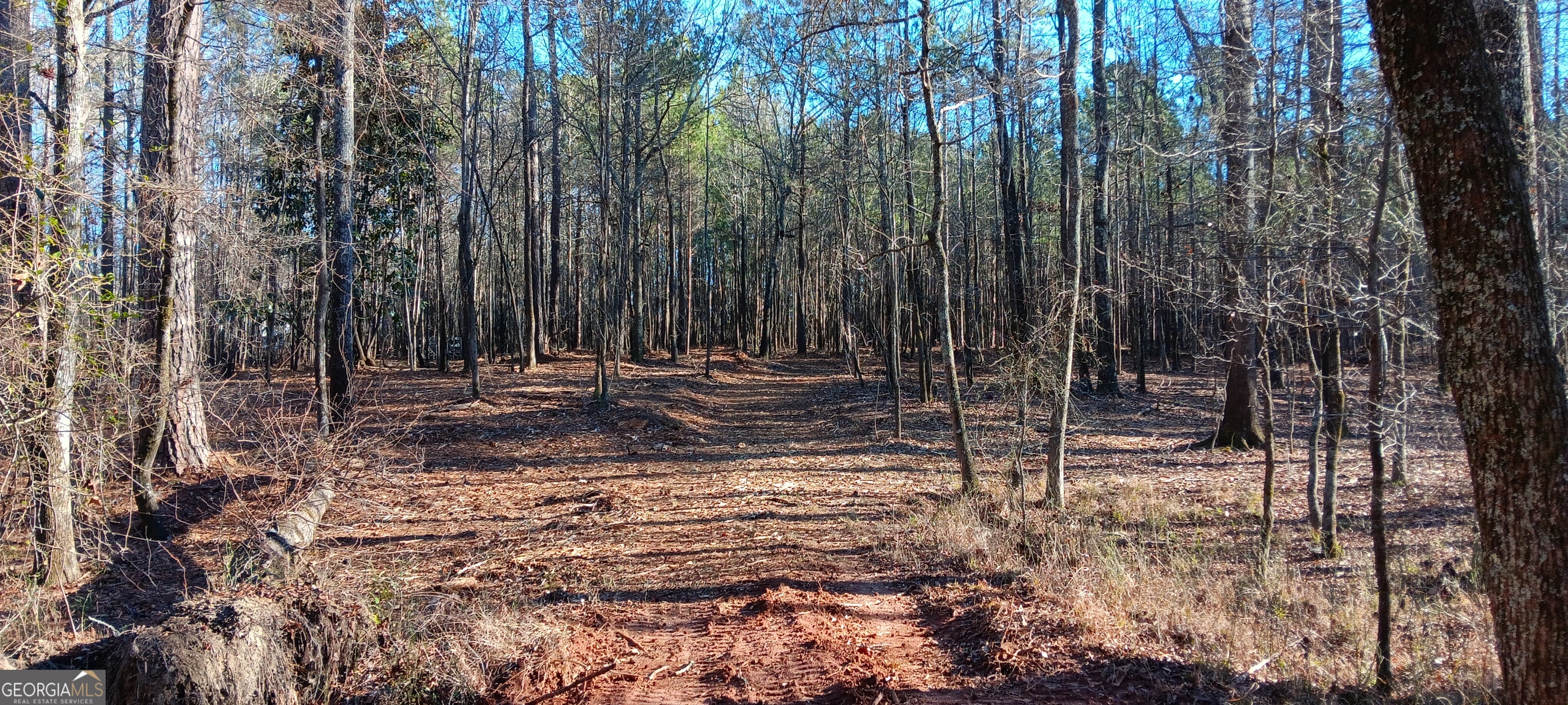 Tract D Cedardale Drive/sweetbriar Lane Griffin GA 30224