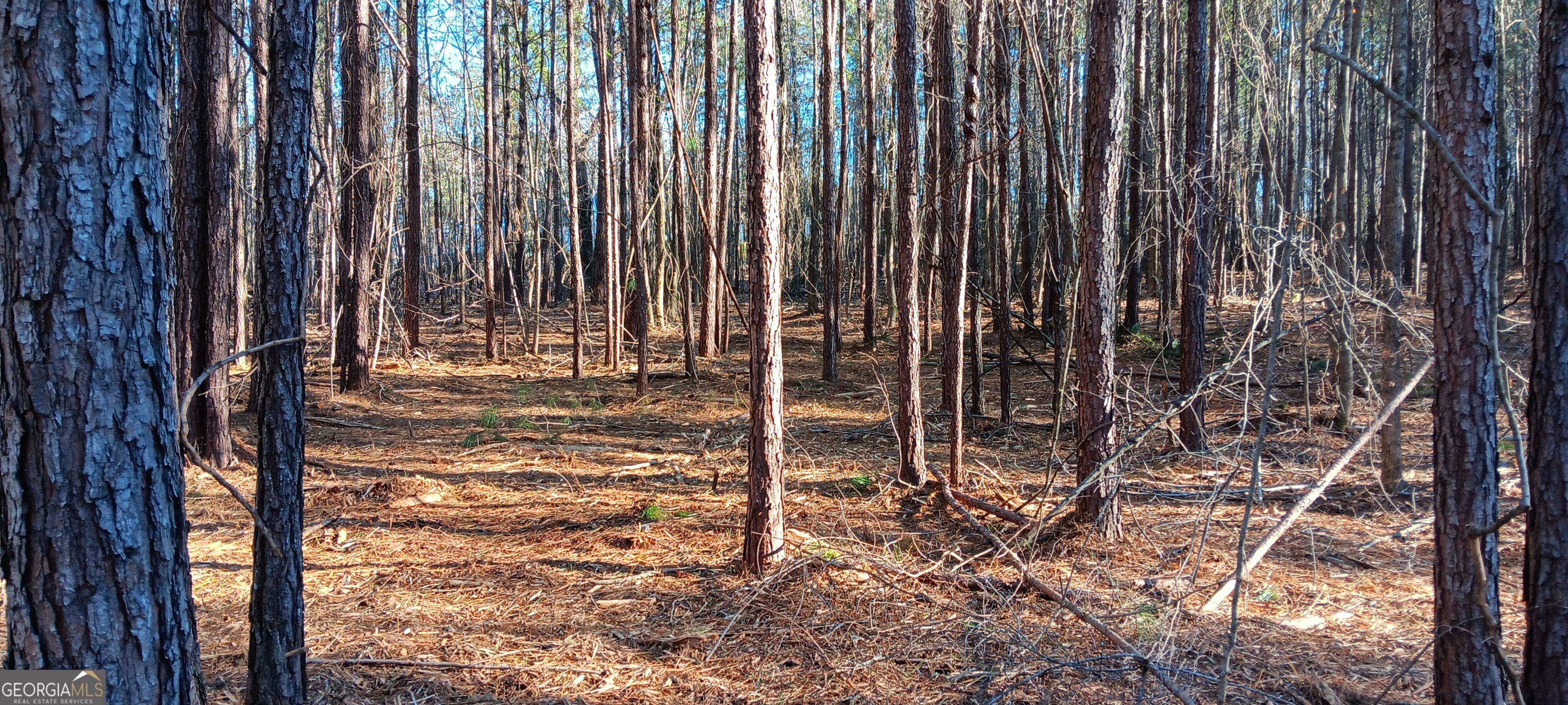 Tract D Cedardale Drive/sweetbriar Lane Griffin GA 30224
