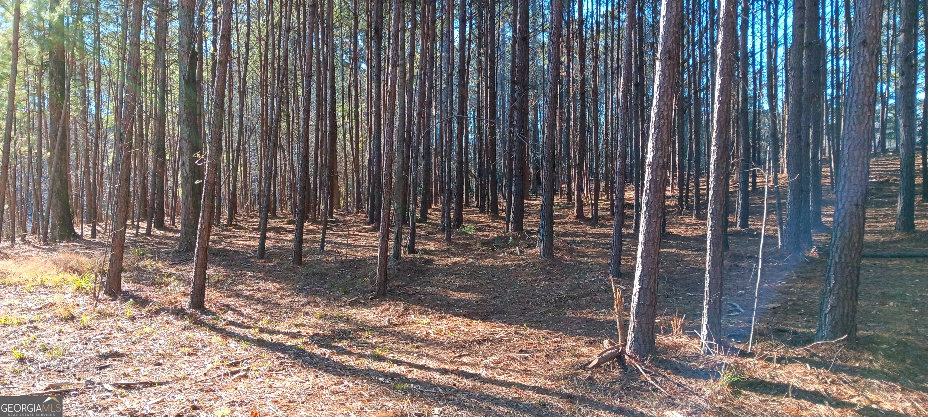 Tract D Cedardale Drive/sweetbriar Lane Griffin GA 30224