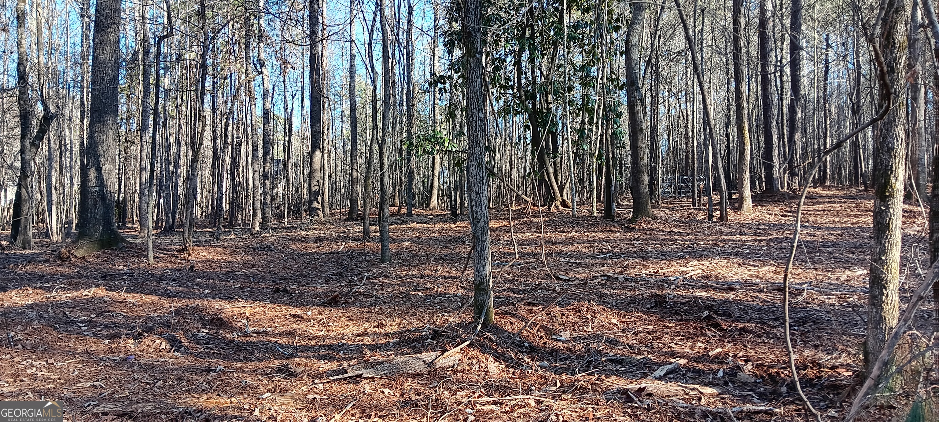 Tract D Cedardale Drive/sweetbriar Lane Griffin GA 30224