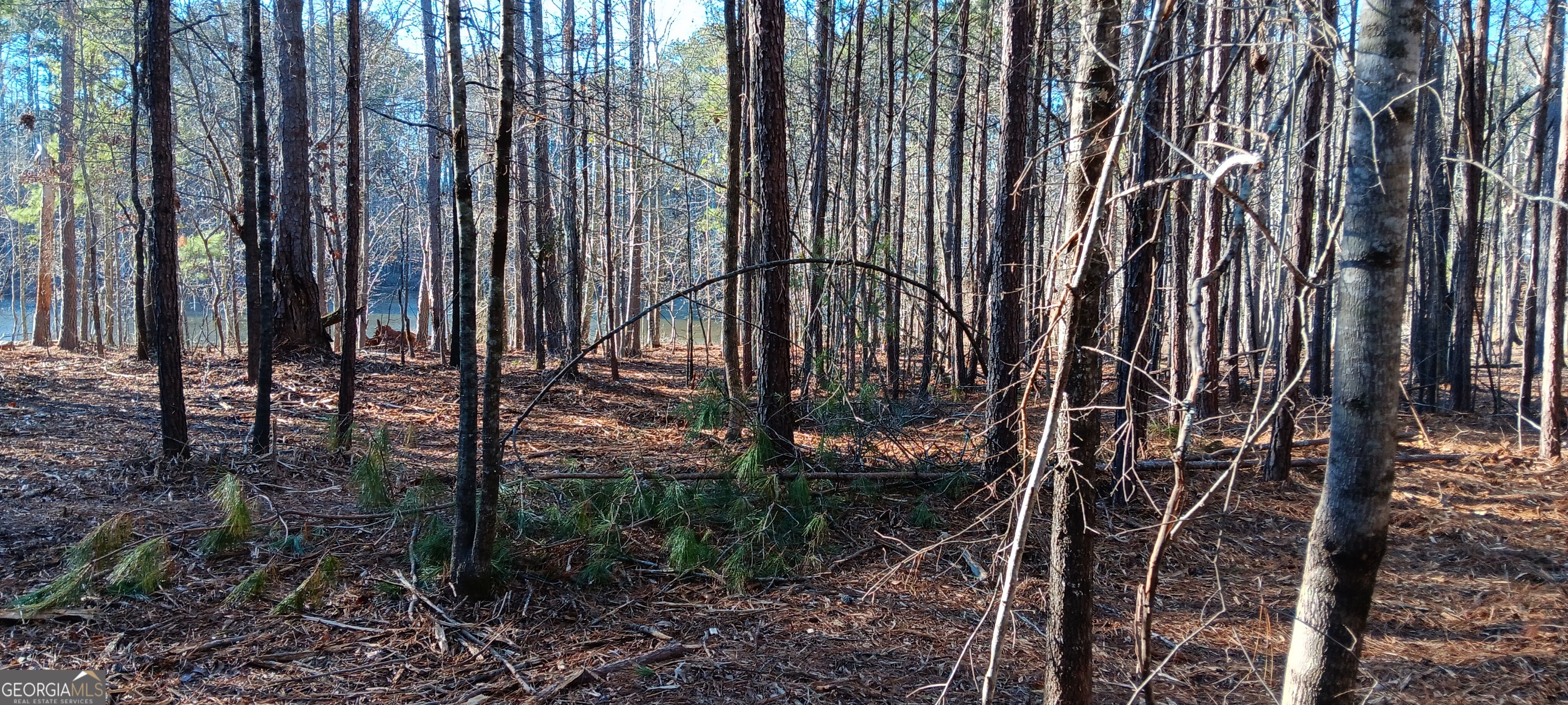Tract D Cedardale Drive/sweetbriar Lane Griffin GA 30224