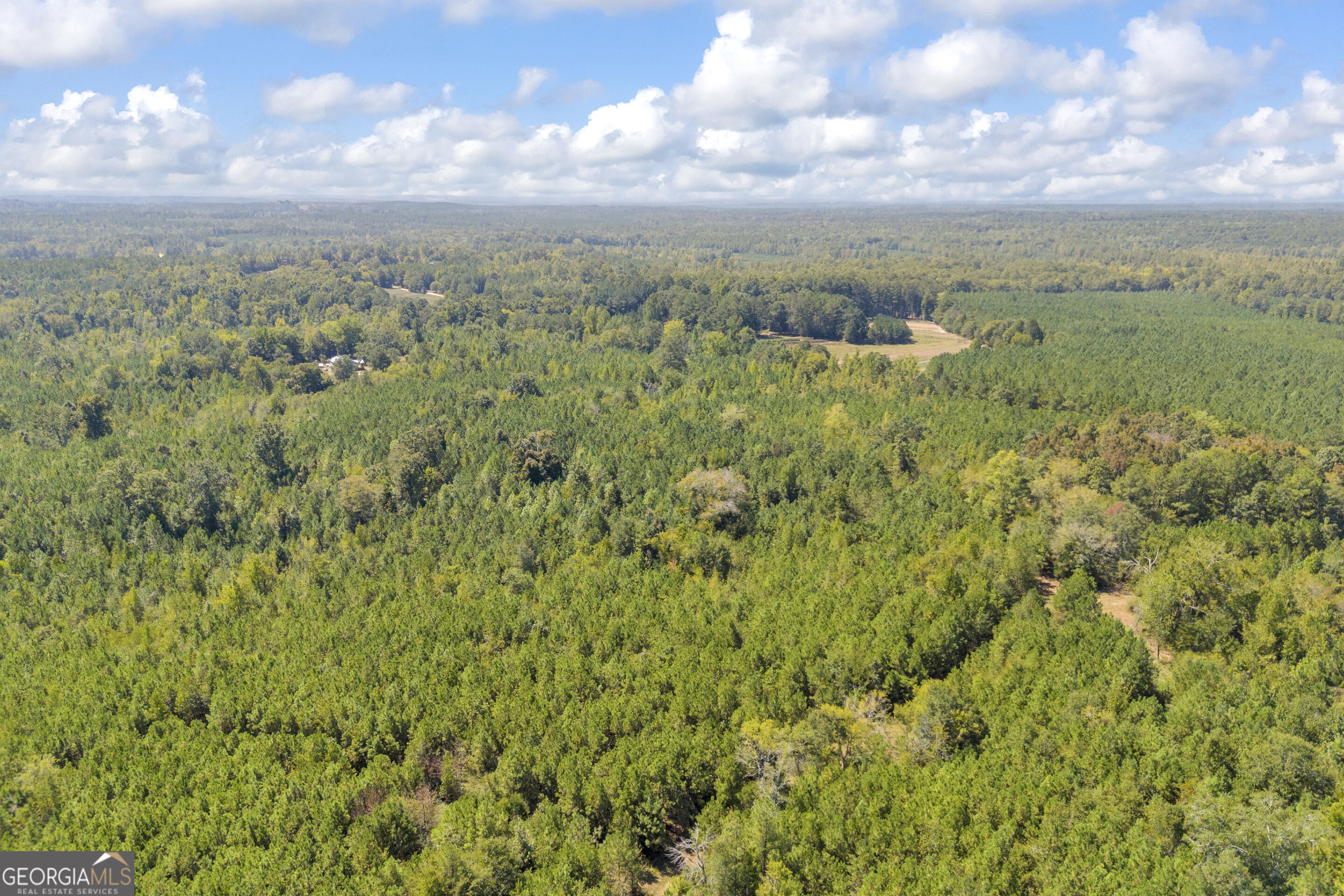 0 Mccannon Road Carlton GA 30627