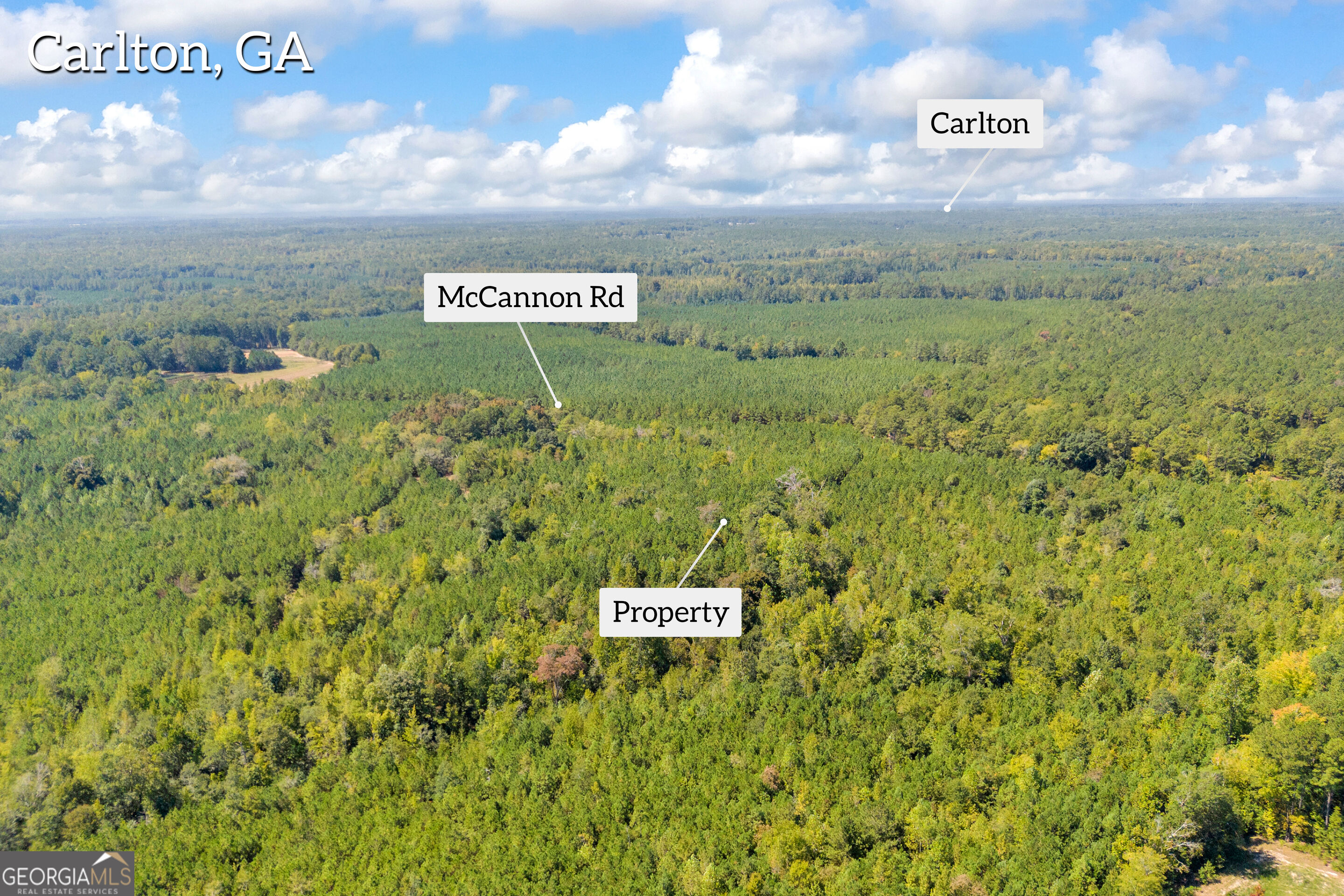 0 Mccannon Road Carlton GA 30627