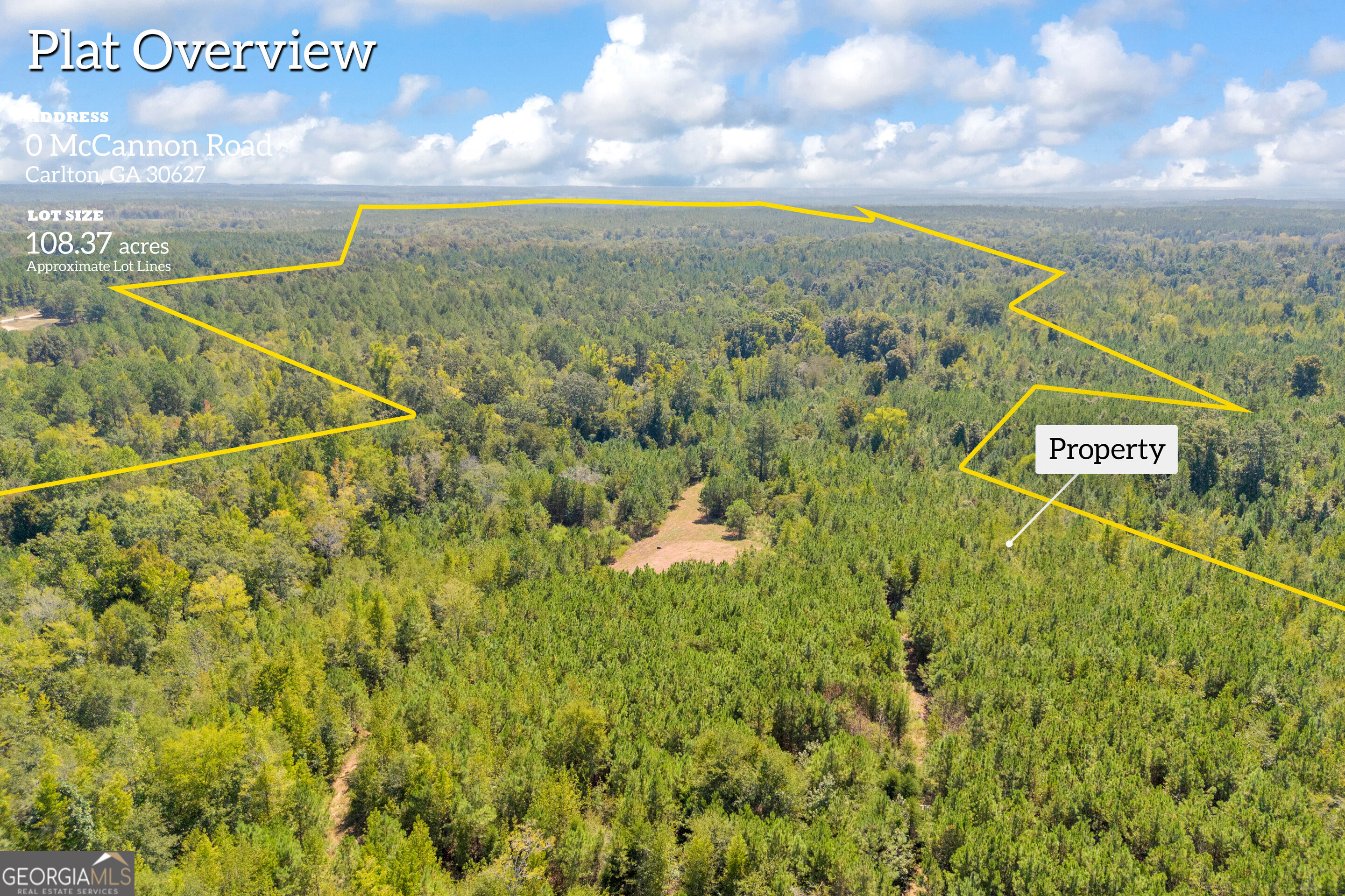 0 Mccannon Road Carlton GA 30627