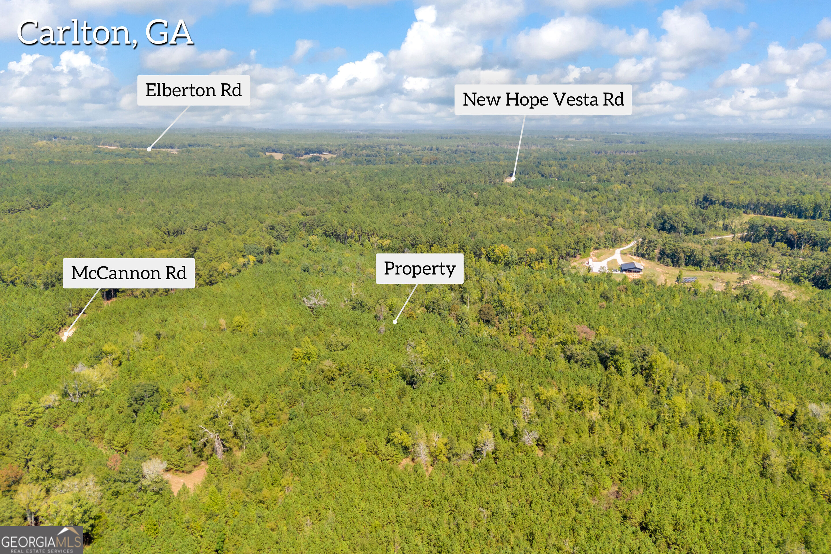 0 Mccannon Road Carlton GA 30627