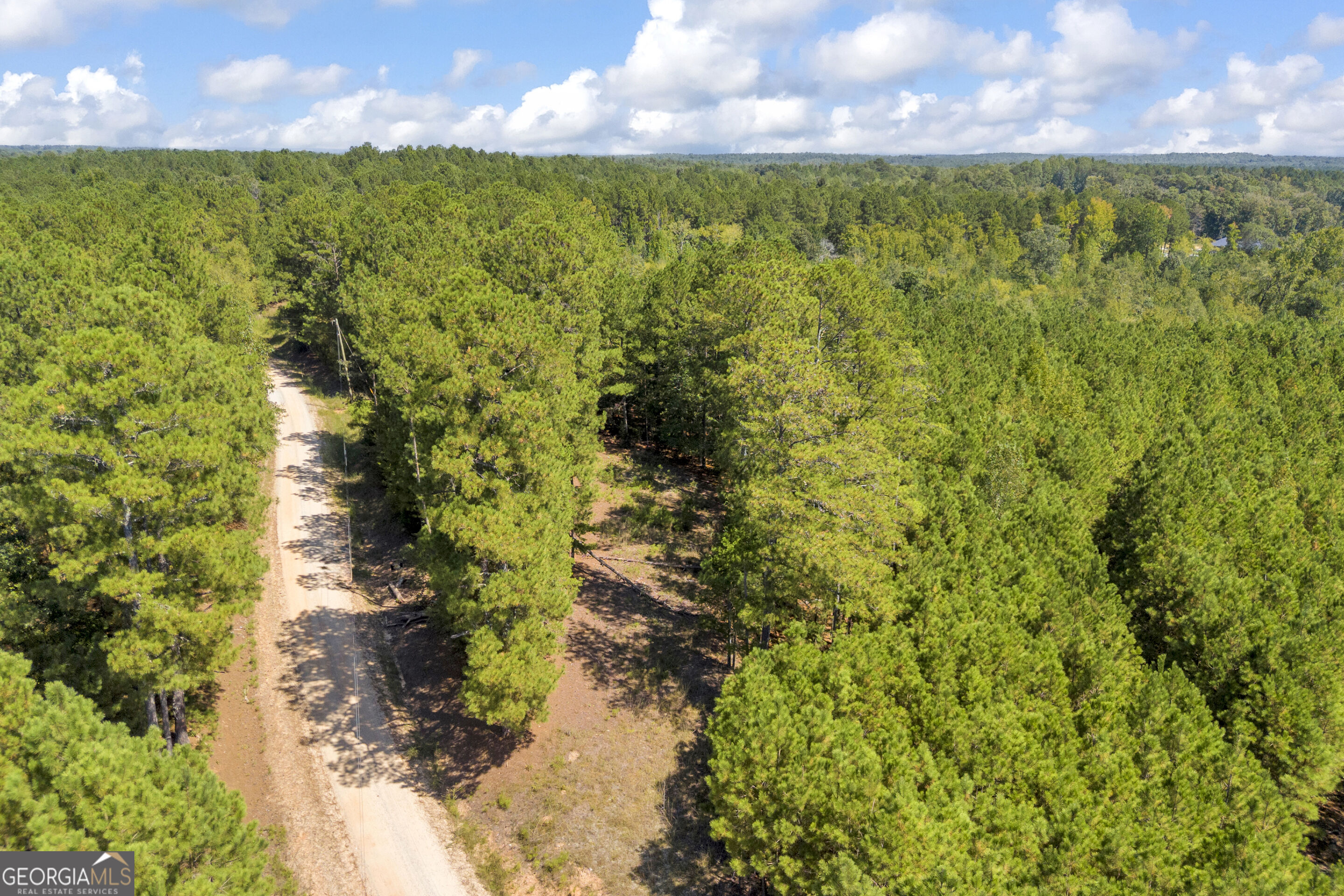 0 Mccannon Road Carlton GA 30627