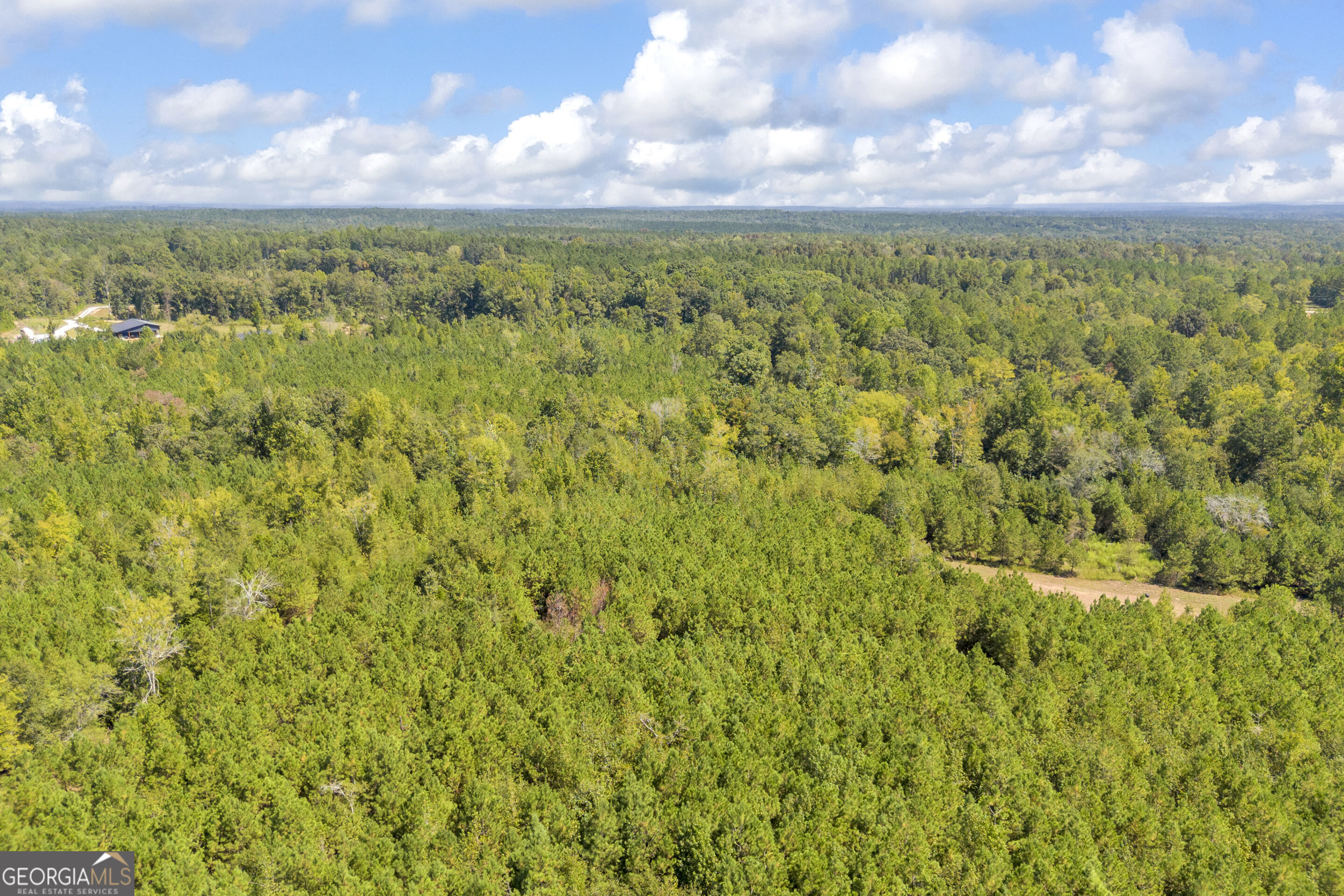 0 Mccannon Road Carlton GA 30627