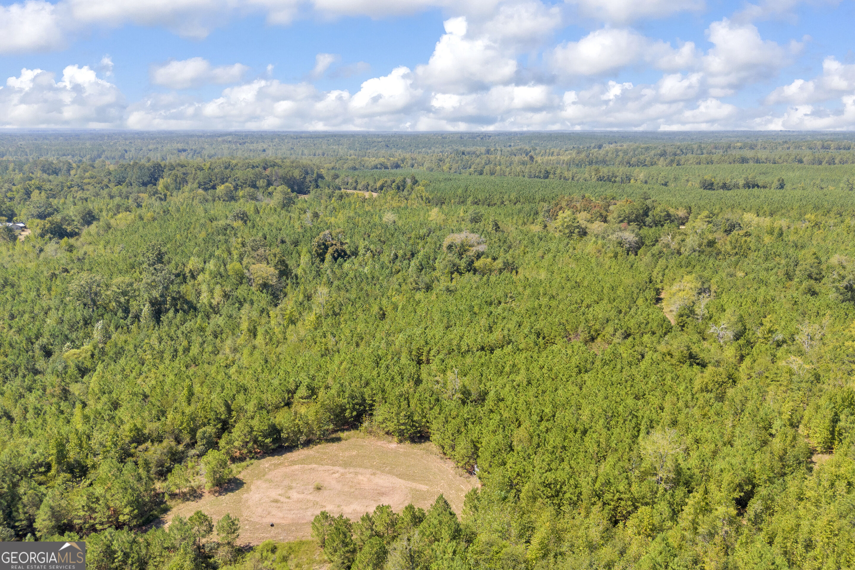 0 Mccannon Road Carlton GA 30627