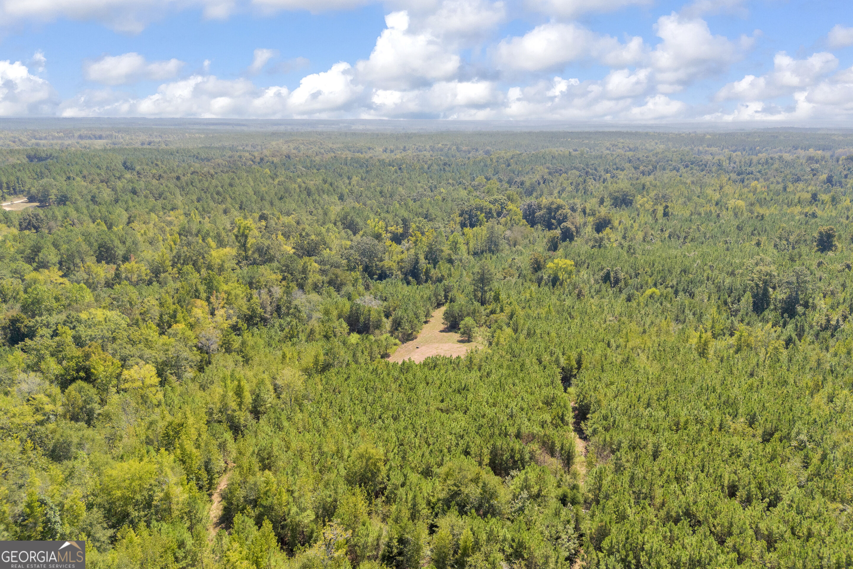 0 Mccannon Road Carlton GA 30627