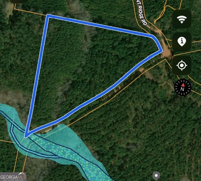 17 Acres Carlisle Gap Road Woodland GA 31836