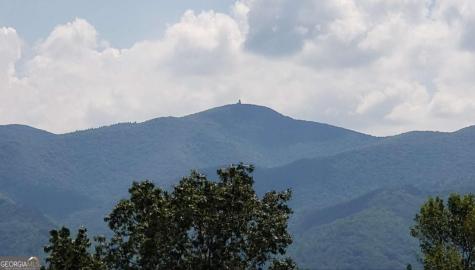 Lt17 Mill Ridge Road Hiawassee GA 30546