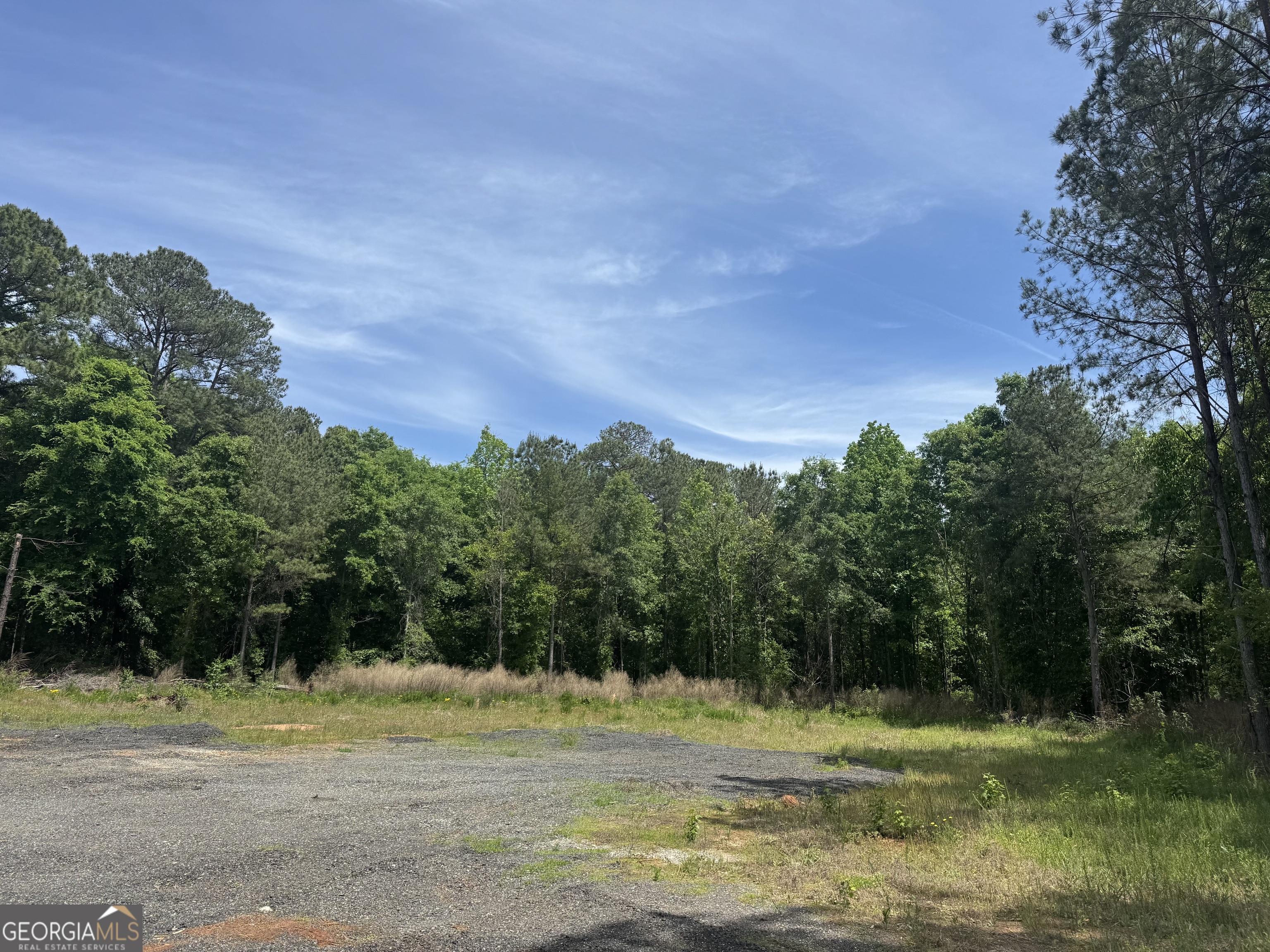 1079 S Highway 87 Flovilla GA 30216