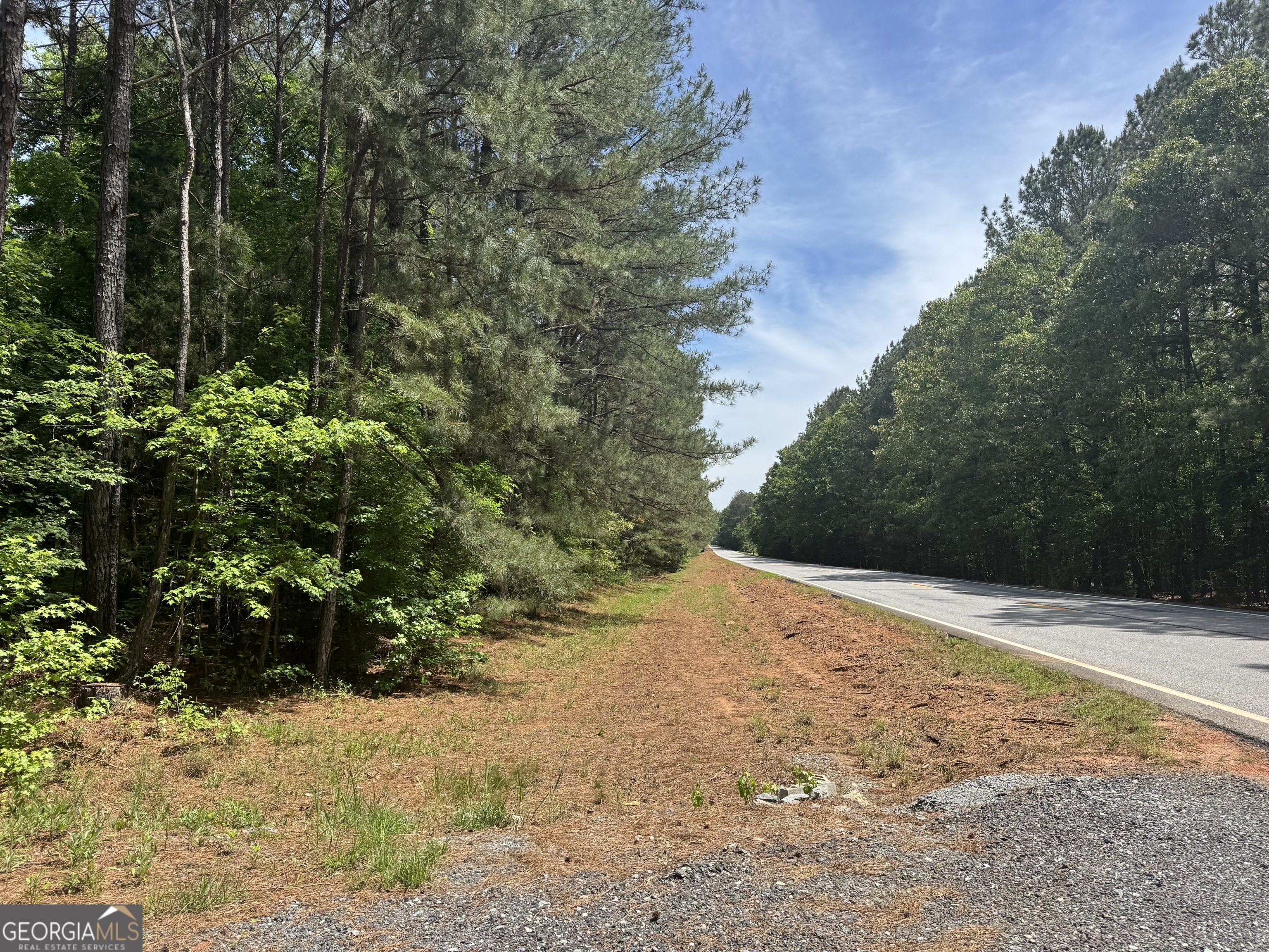 1079 S Highway 87 Flovilla GA 30216