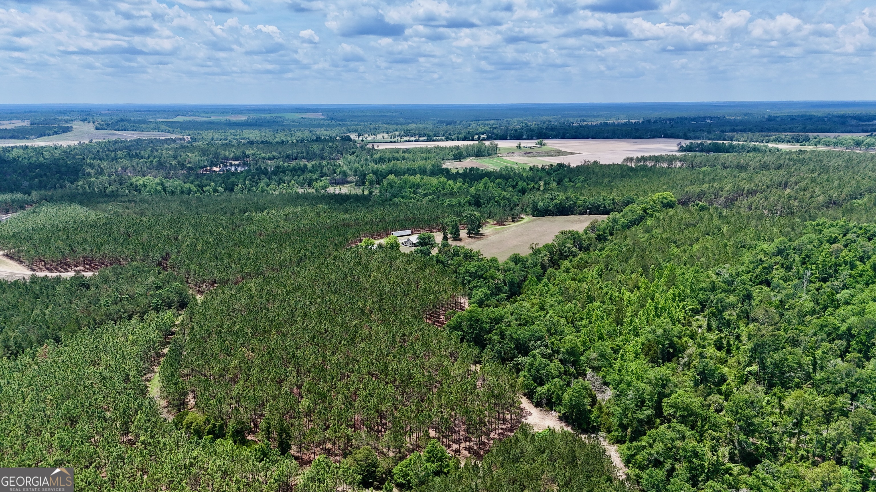 0 Neily Wagon Road Mcrae-helena GA 31055