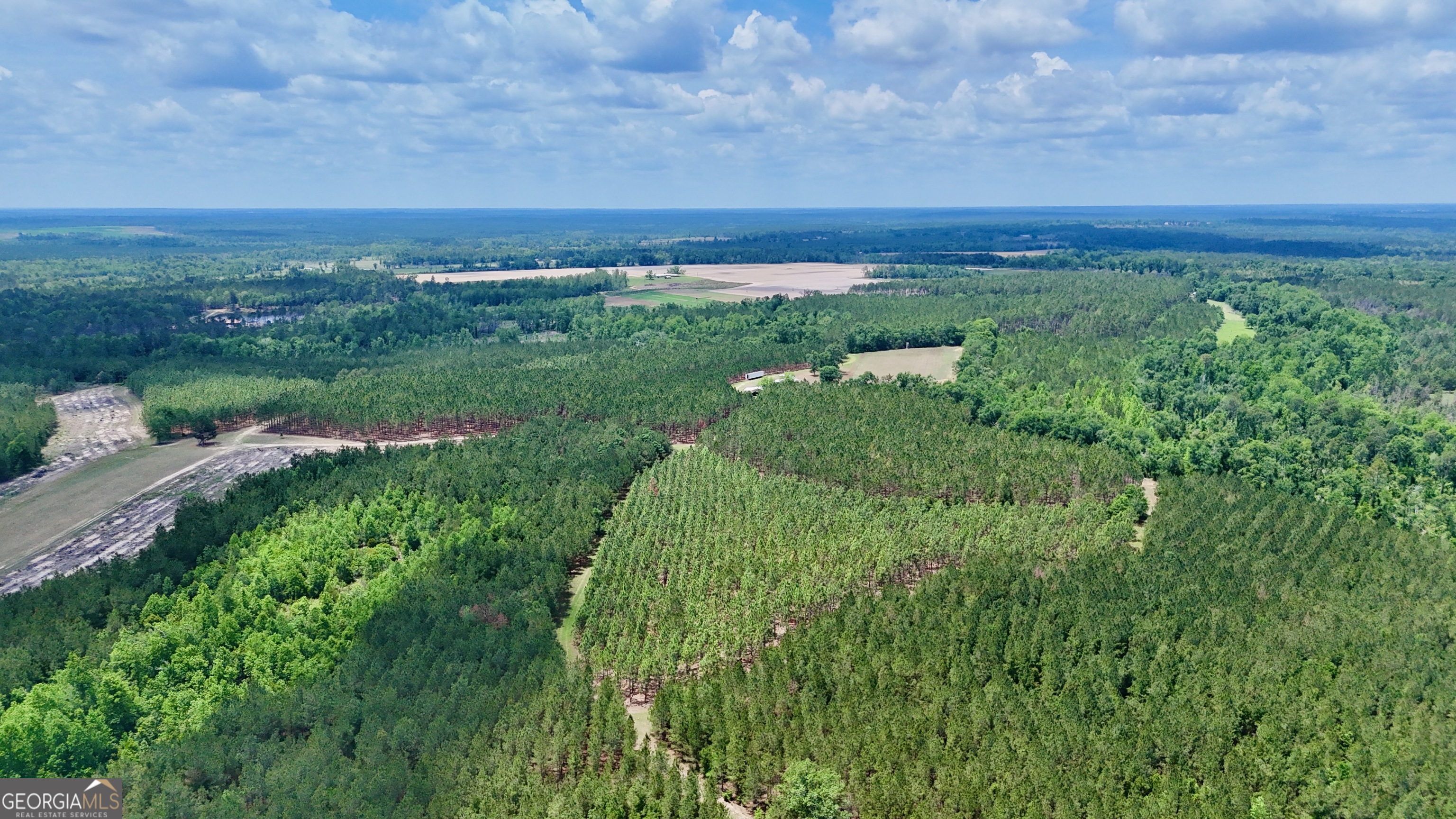 0 Neily Wagon Road Mcrae-helena GA 31055