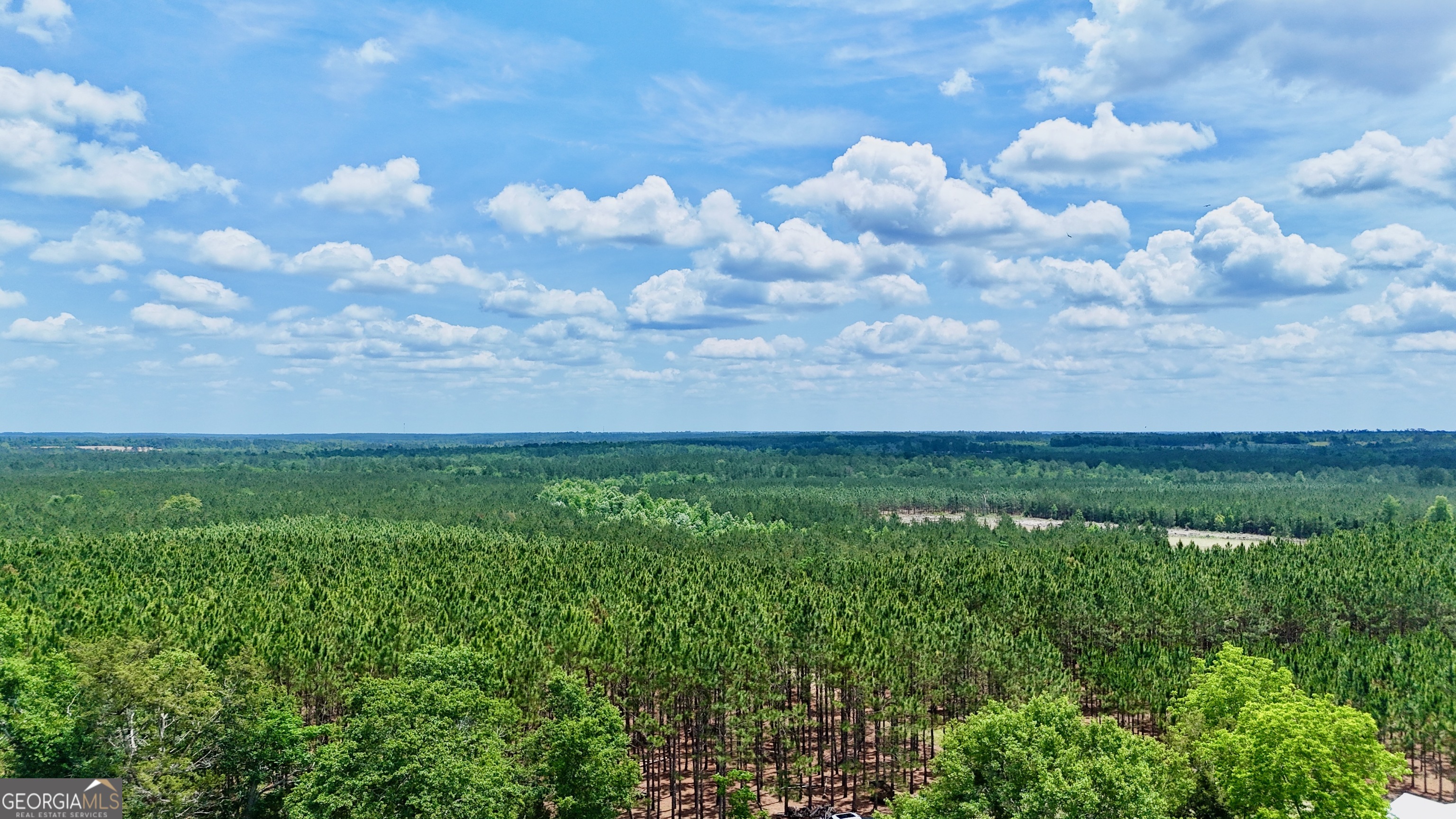 0 Neily Wagon Road Mcrae-helena GA 31055