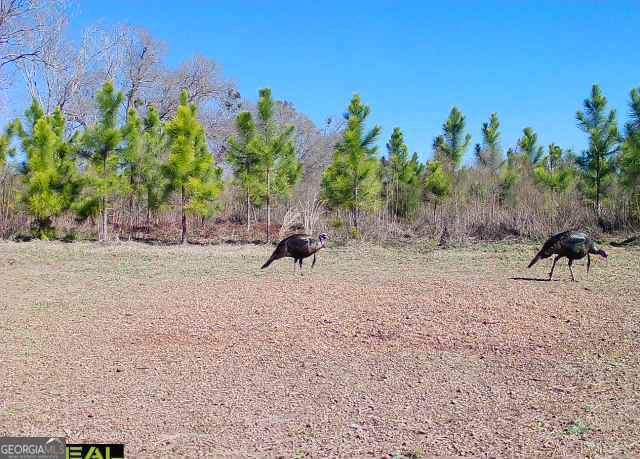 0 Neily Wagon Road Mcrae-helena GA 31055
