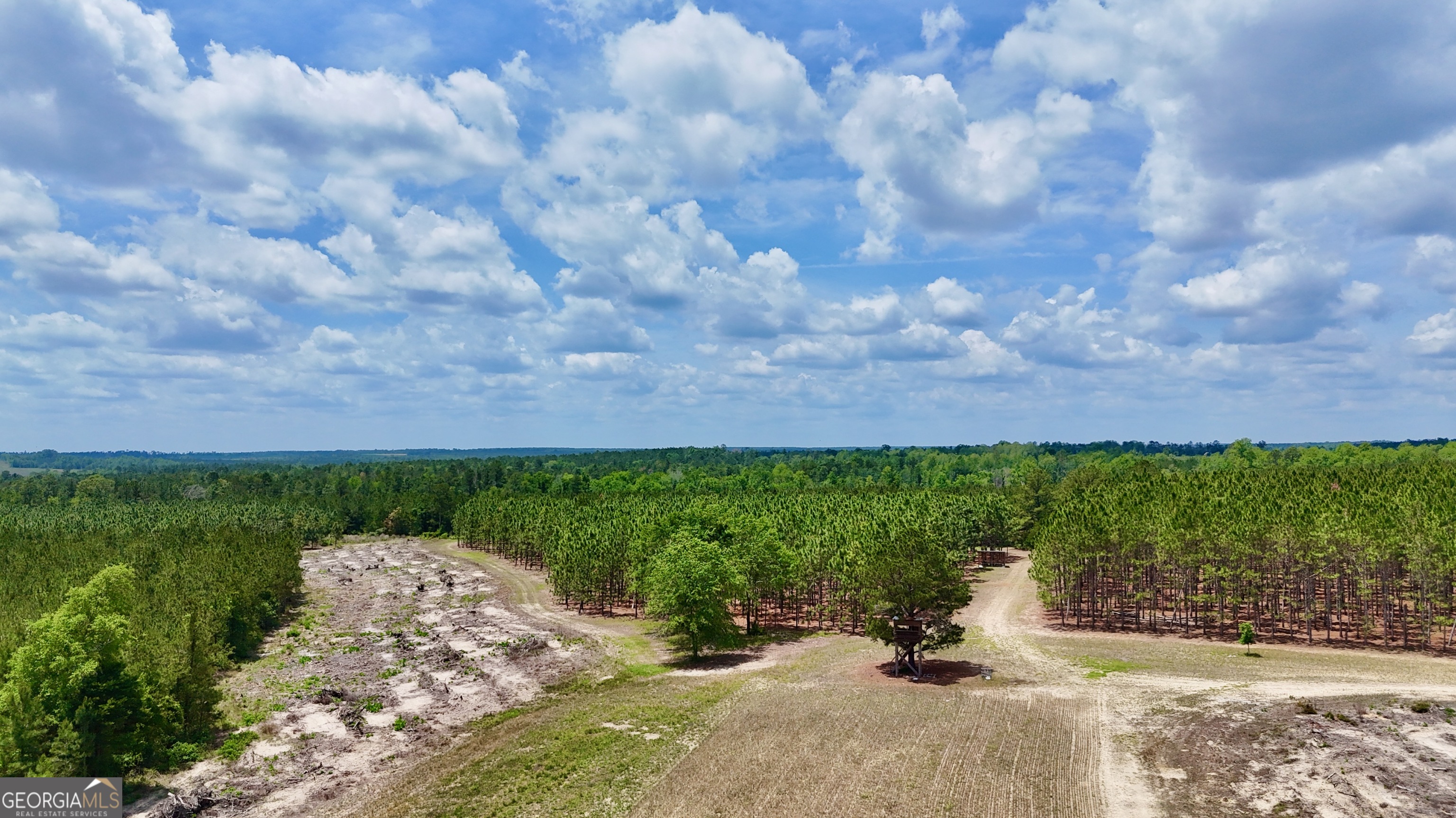 0 Neily Wagon Road Mcrae-helena GA 31055