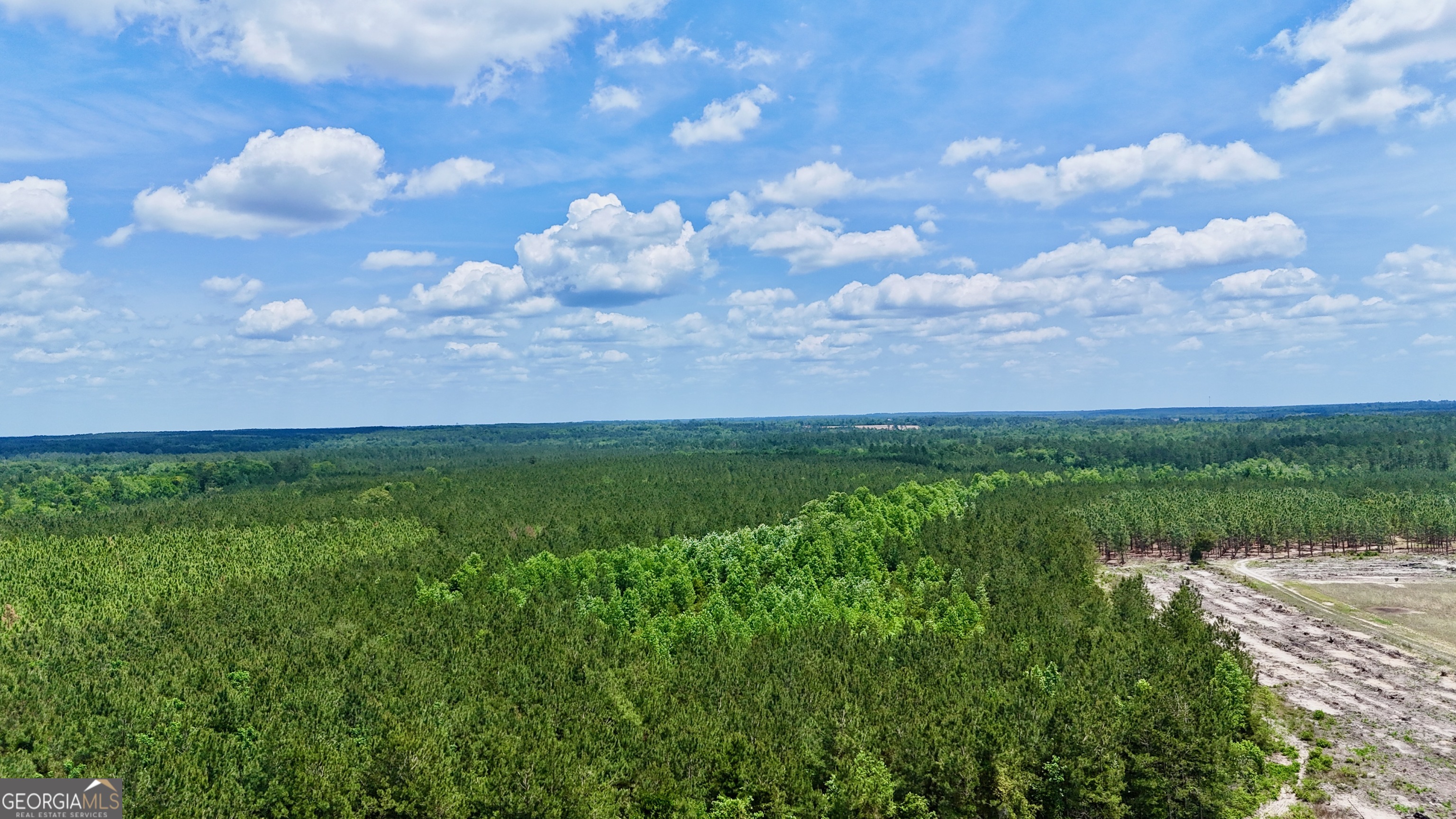 0 Neily Wagon Road Mcrae-helena GA 31055