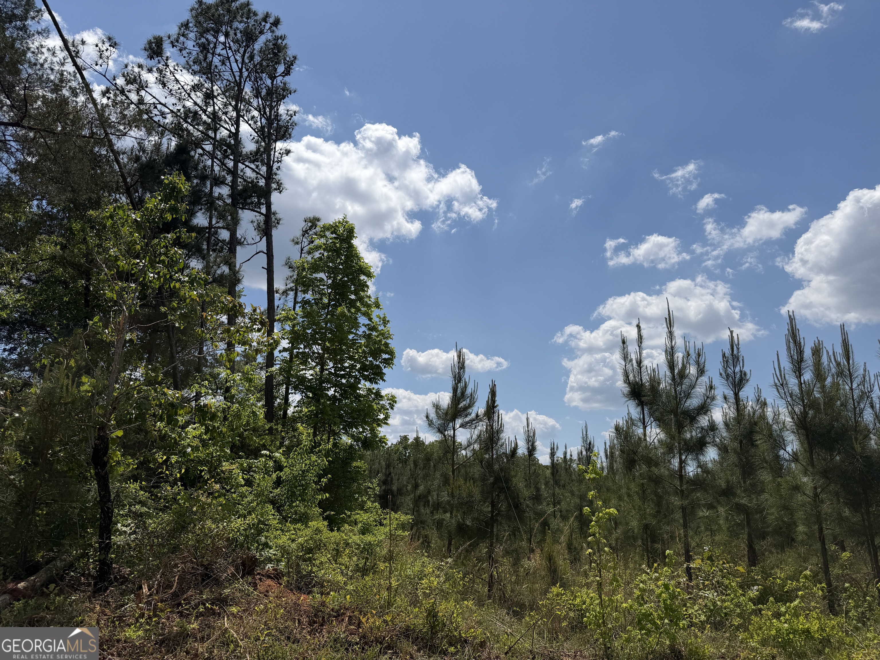 008 George Milling Road Cuthbert GA 39840