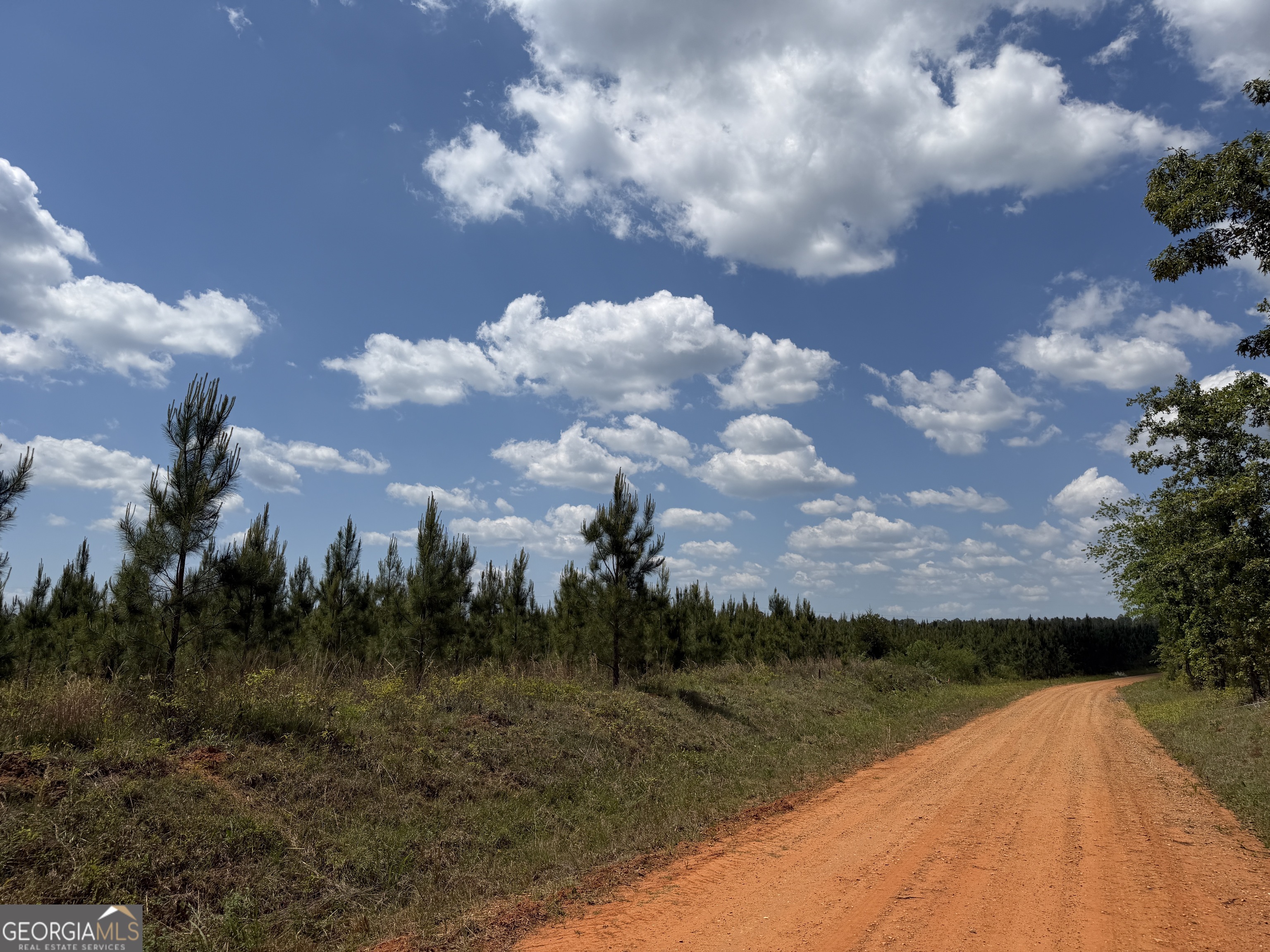 008 George Milling Road Cuthbert GA 39840