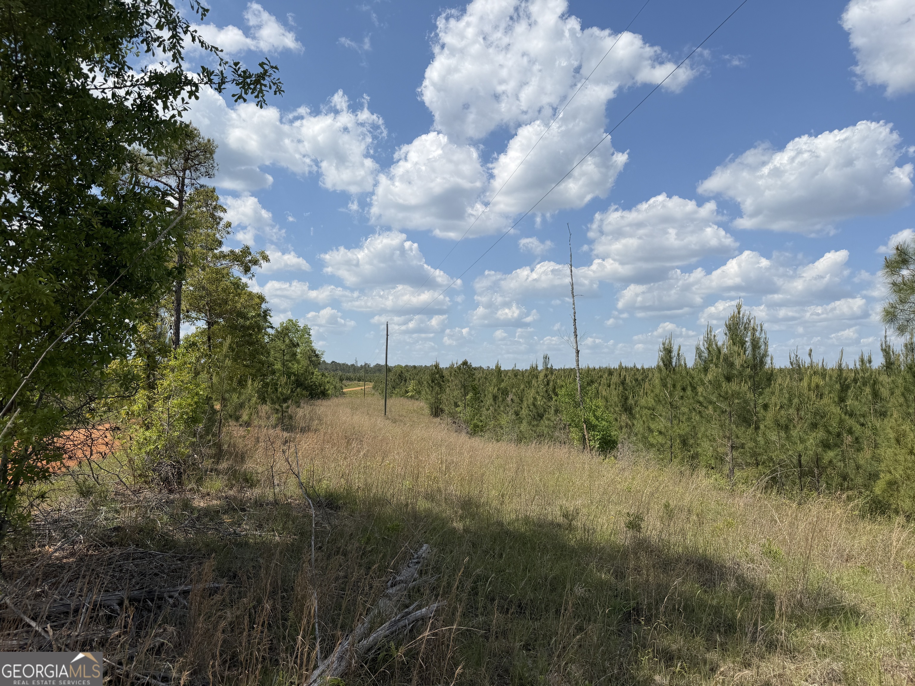 008 George Milling Road Cuthbert GA 39840