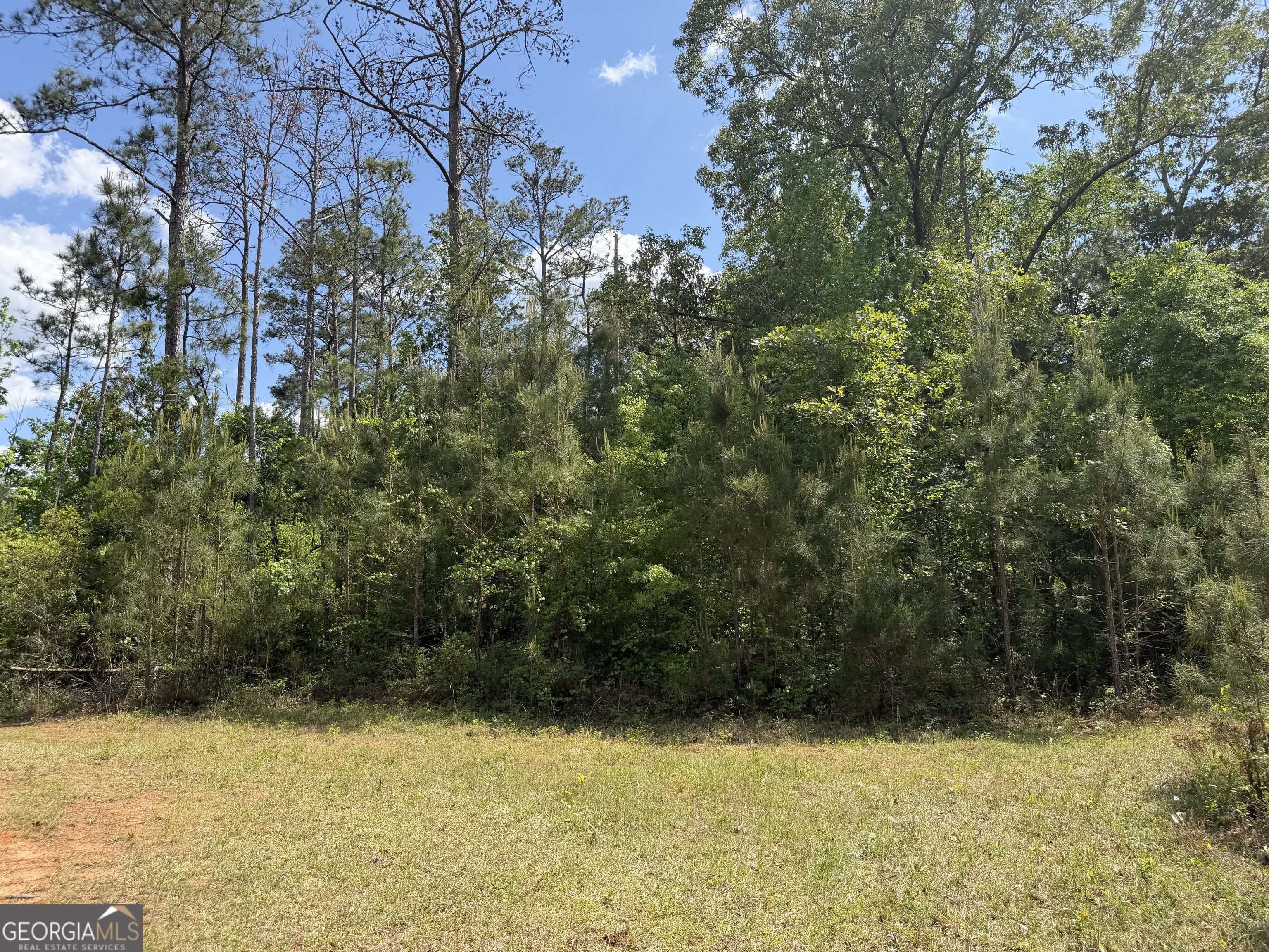 008 George Milling Road Cuthbert GA 39840