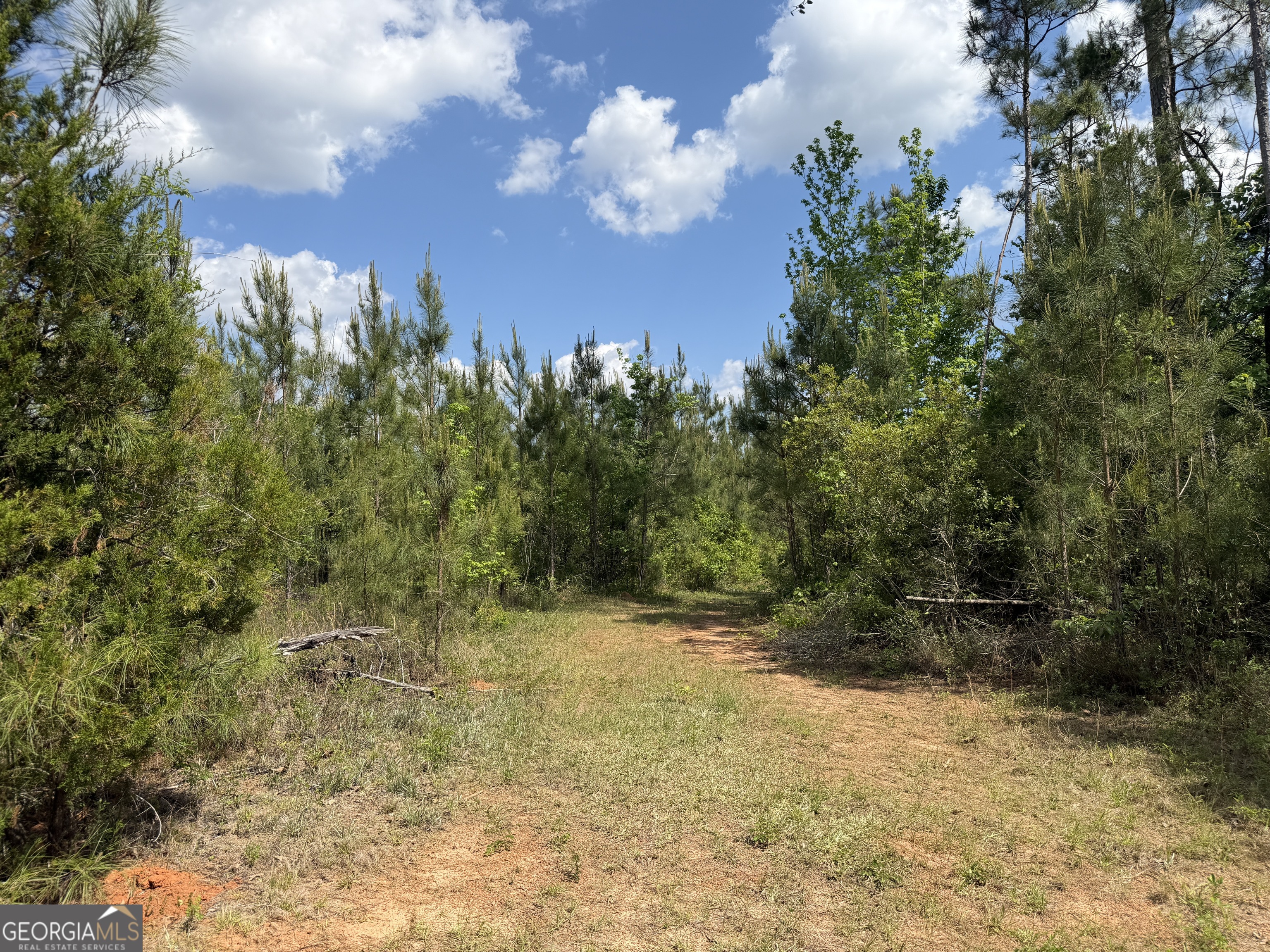 008 George Milling Road Cuthbert GA 39840