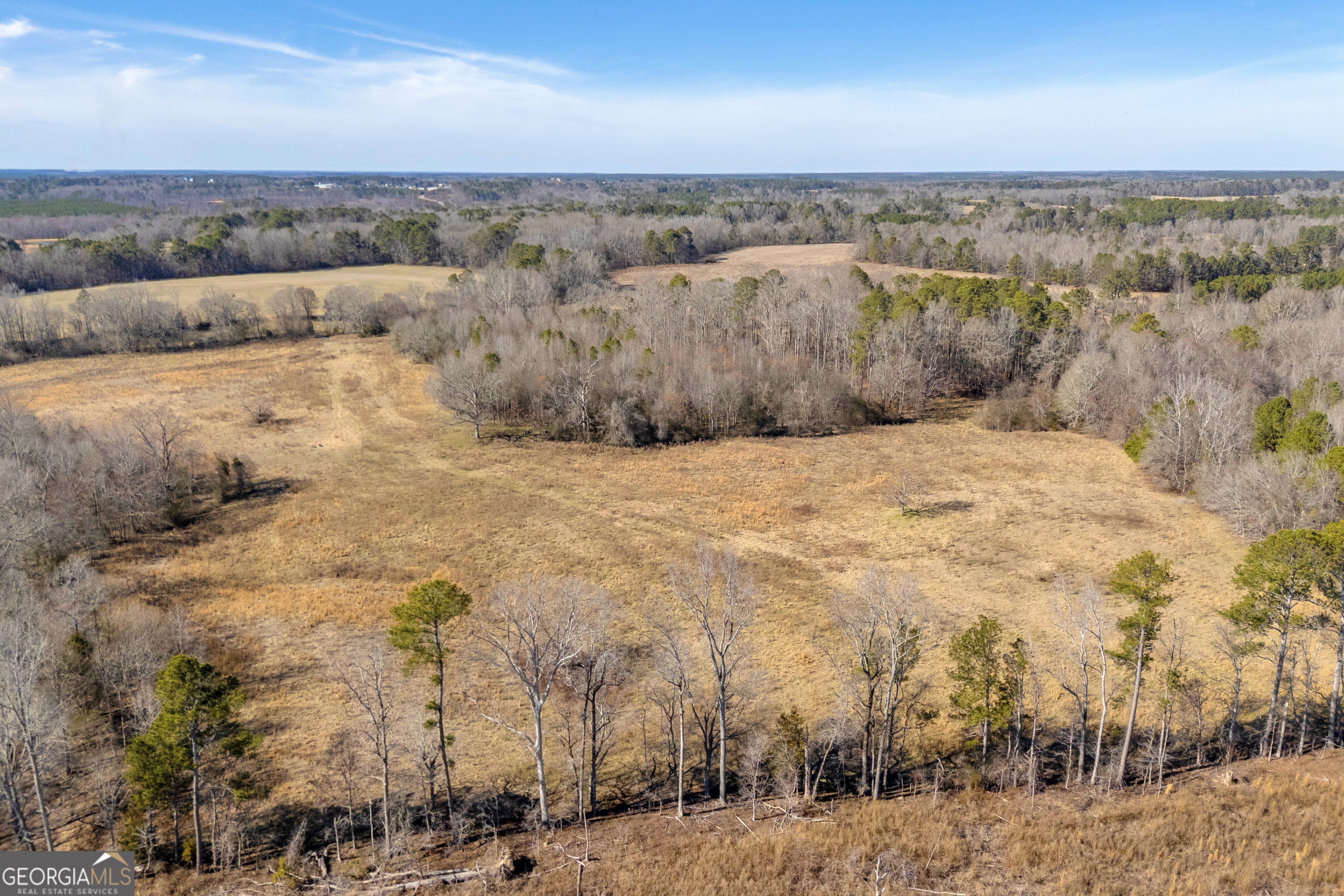 1681 Sibley School Road Greensboro GA 30642