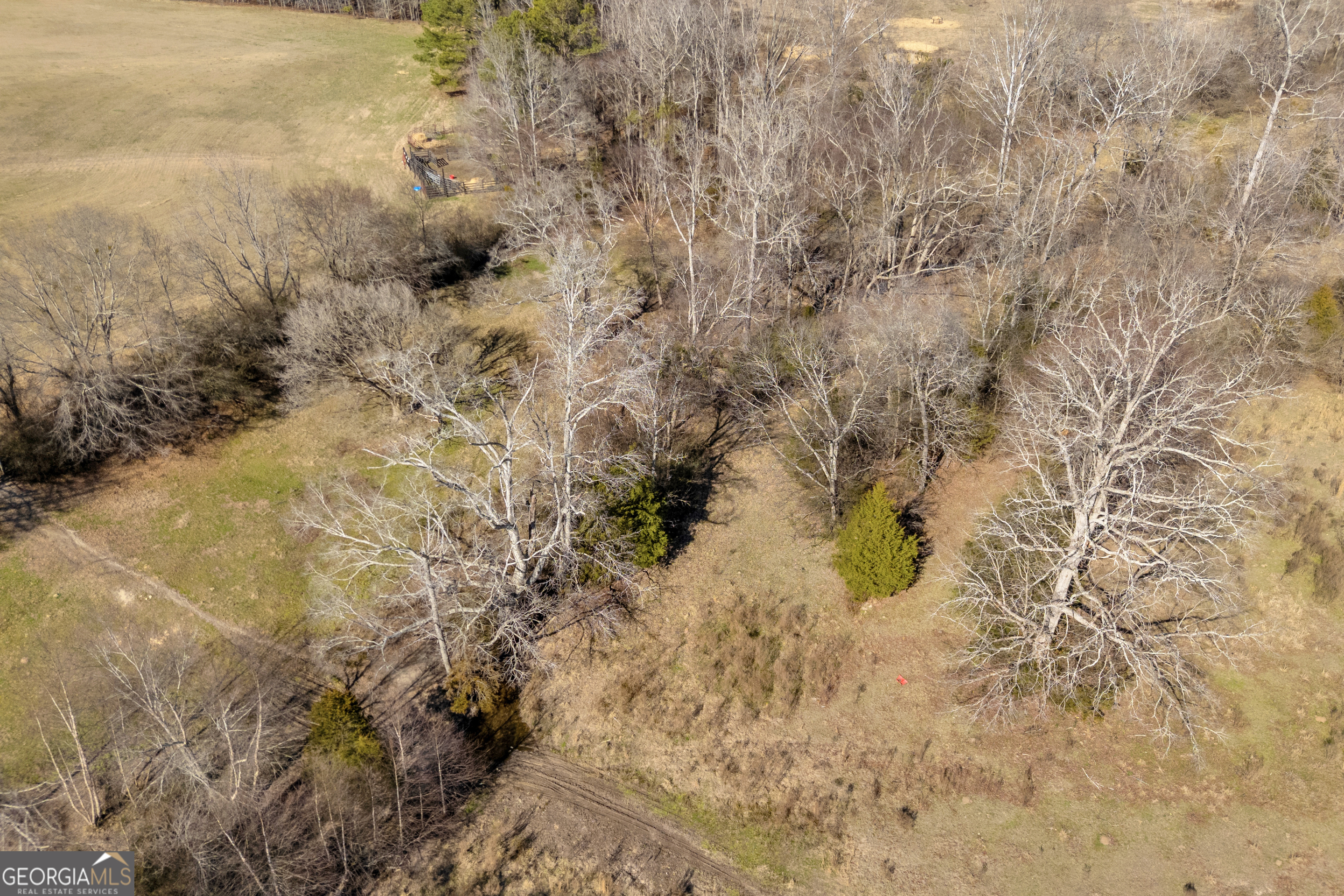 1681 Sibley School Road Greensboro GA 30642