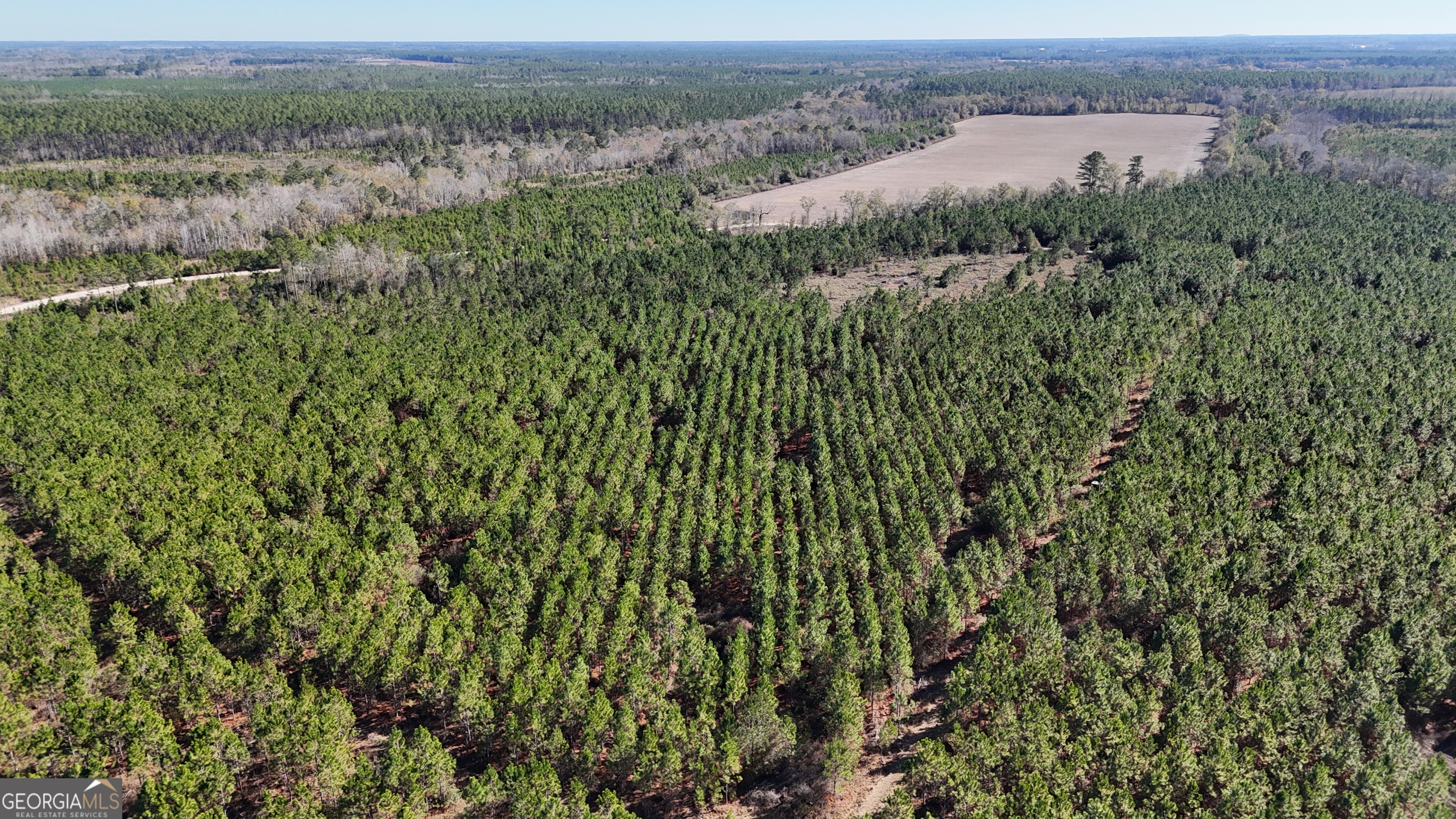 30 Ac Owens Road Odum GA 31555