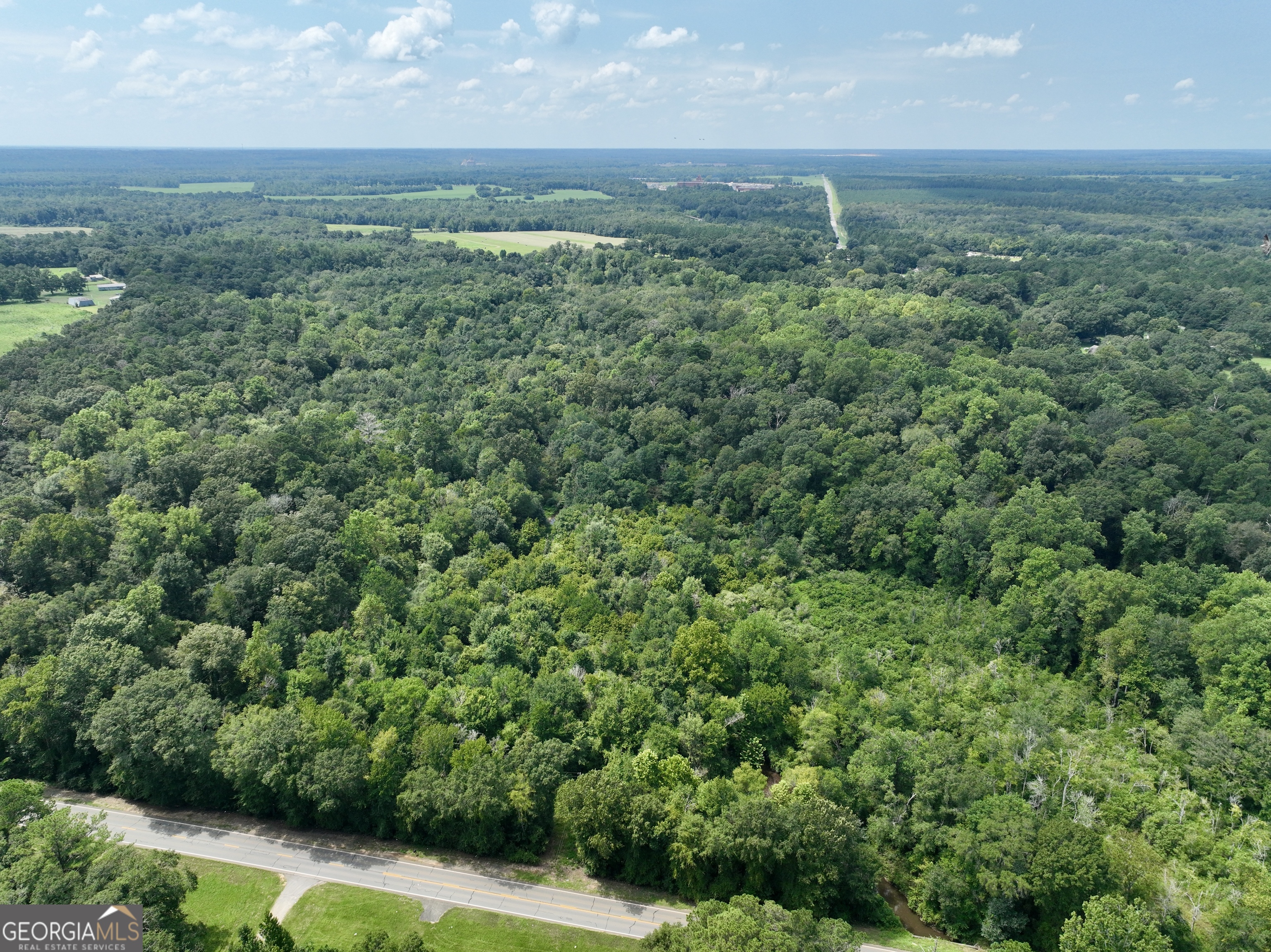 0 Highway 247 Kathleen GA 31047