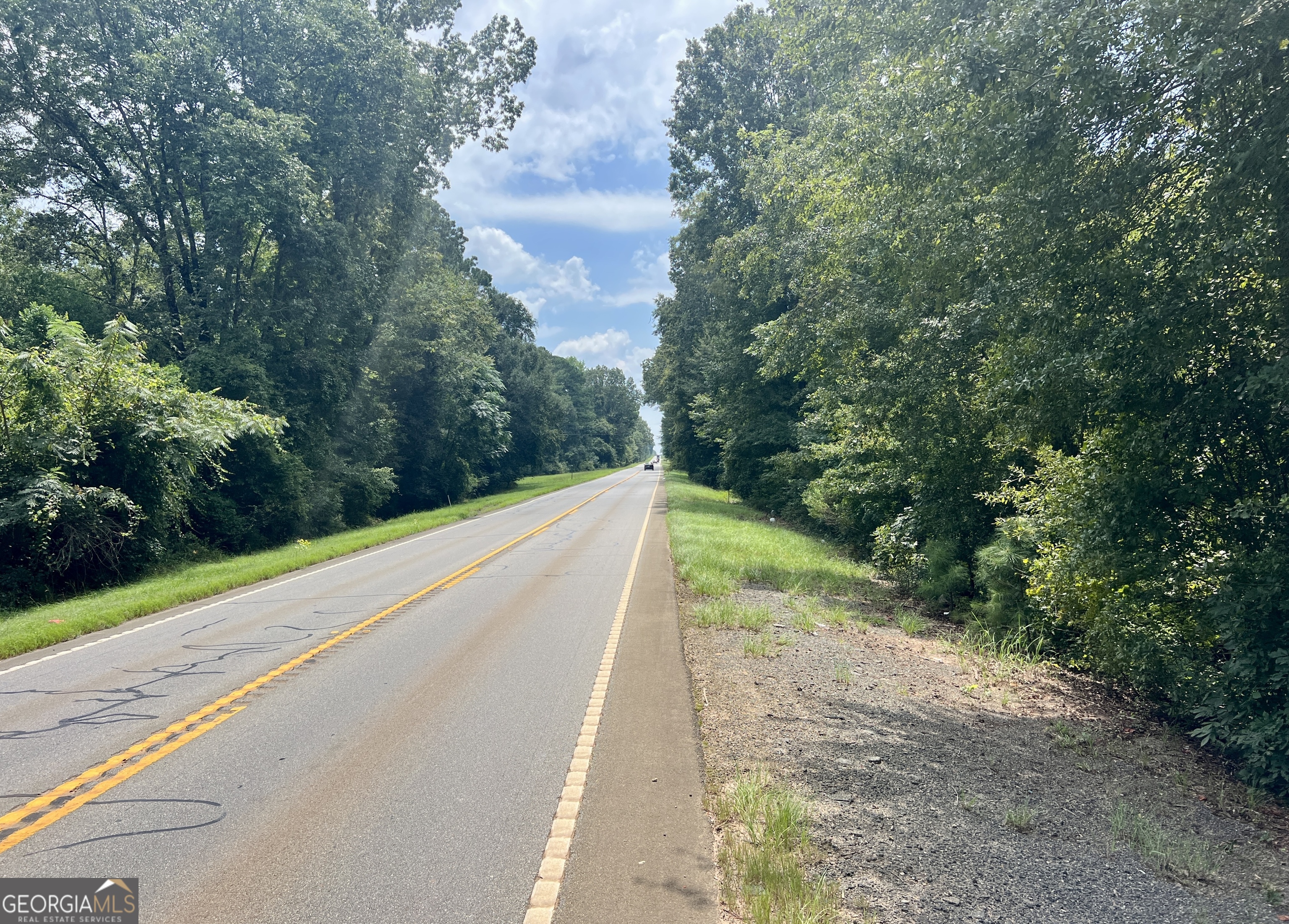 0 Highway 247 Kathleen GA 31047