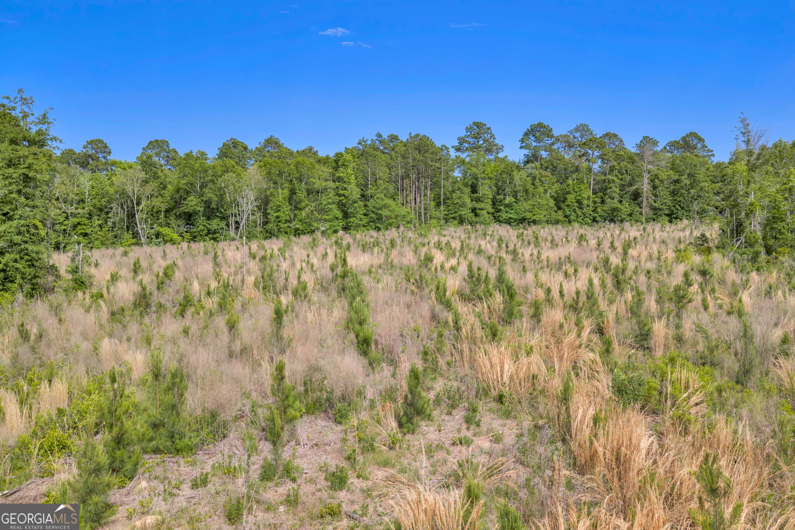 0 Us 82 Sylvester GA 31791