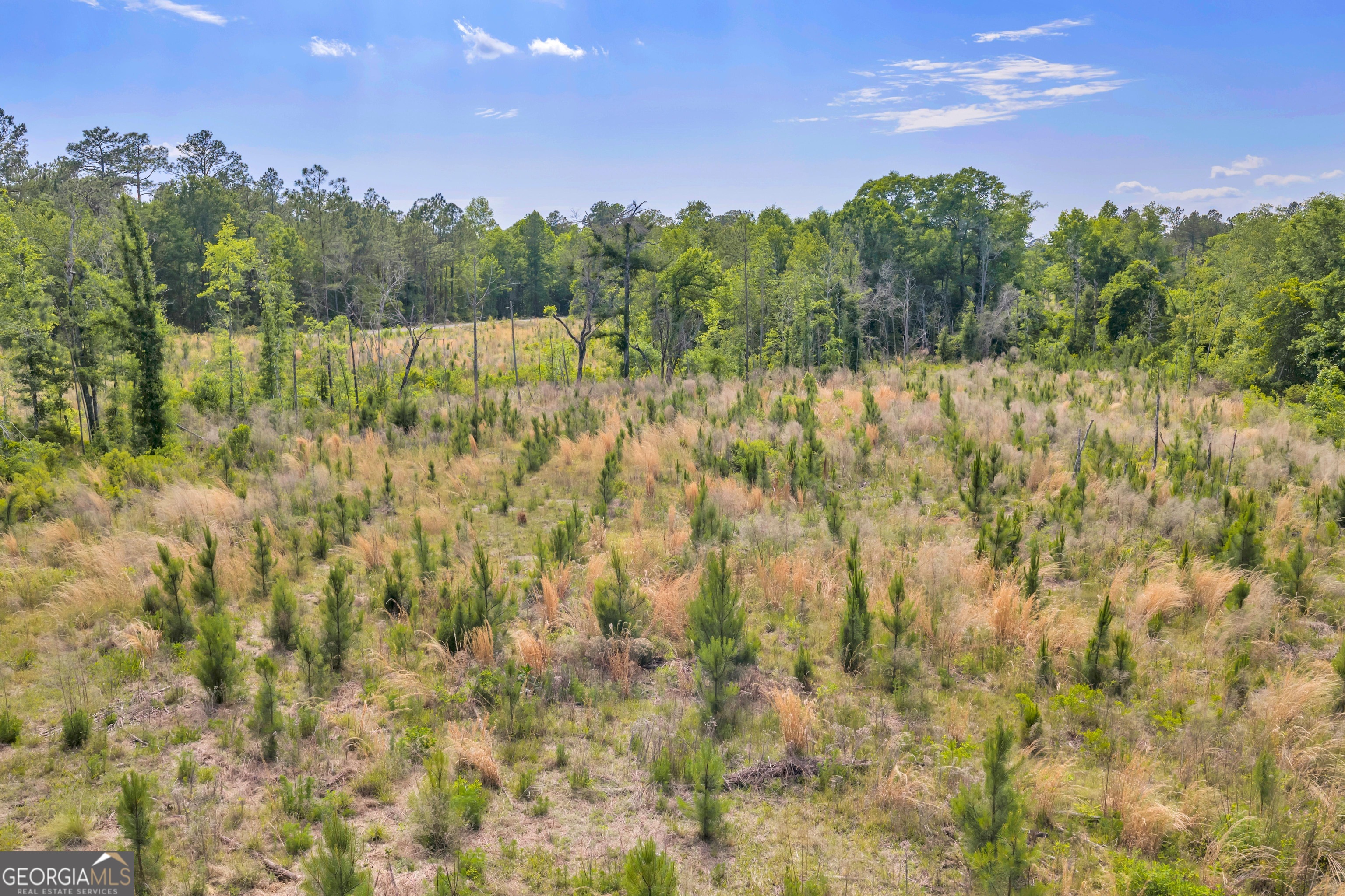 0 Us 82 Sylvester GA 31791