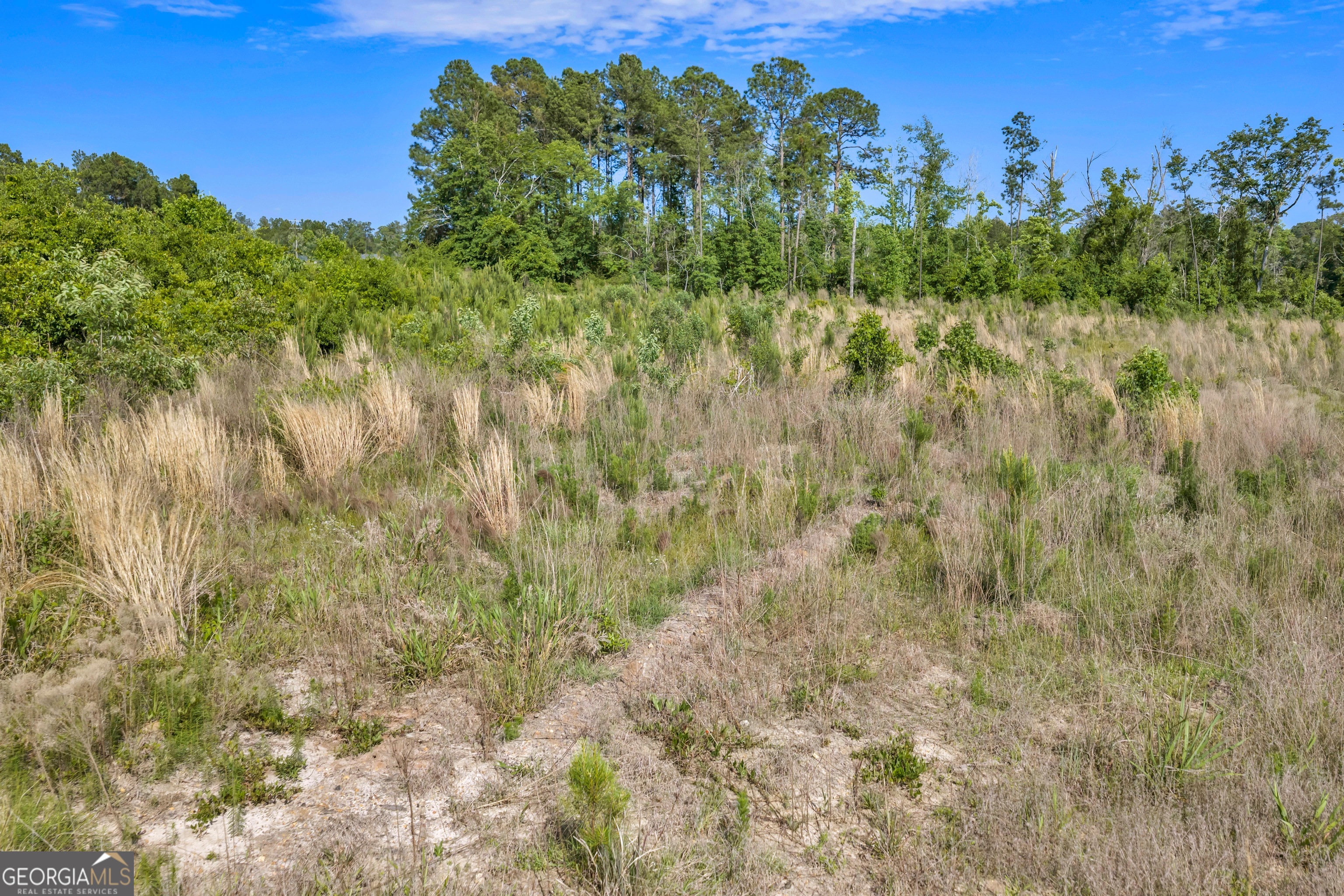 0 Us 82 Sylvester GA 31791