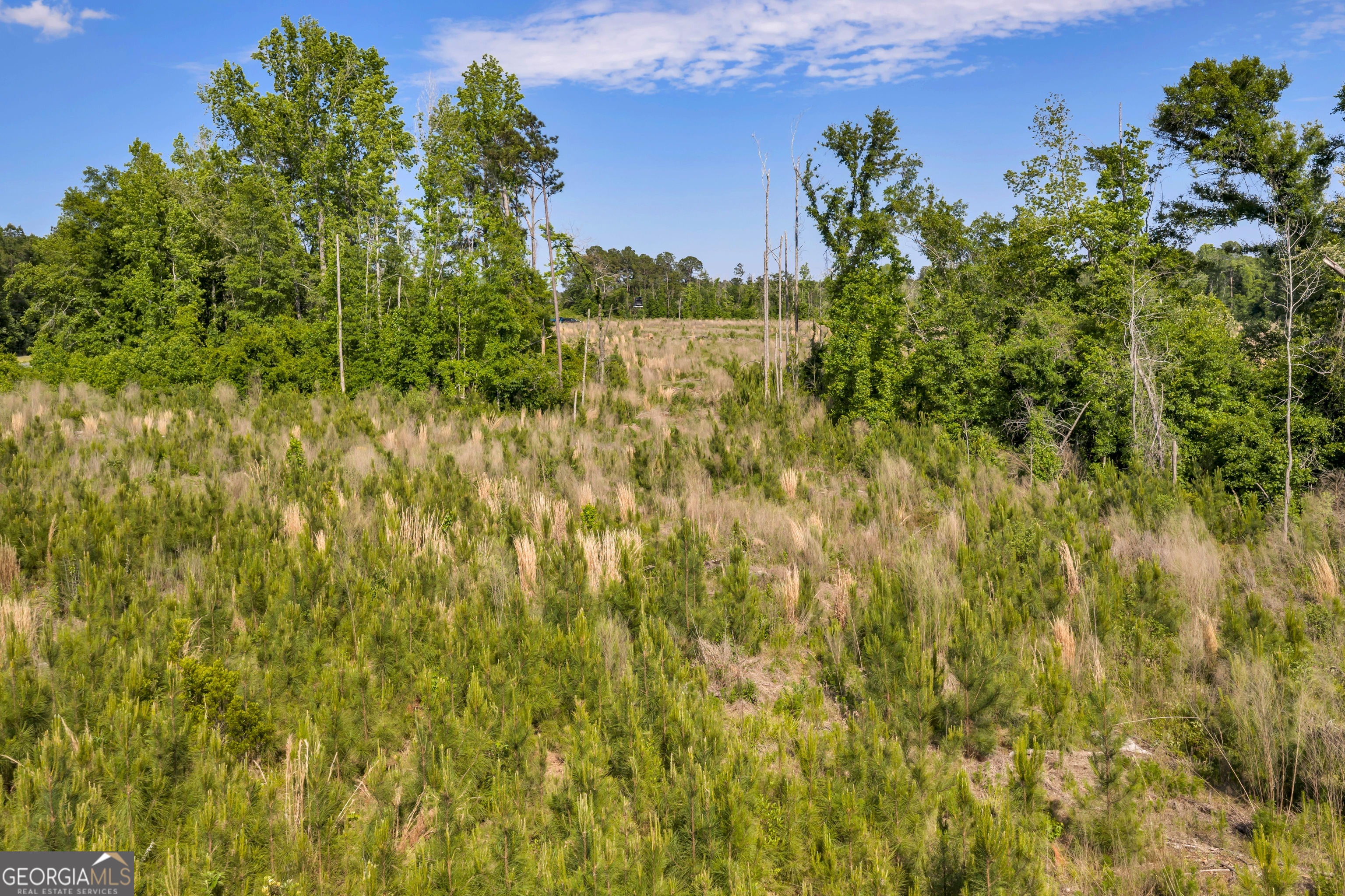 0 Us 82 Sylvester GA 31791