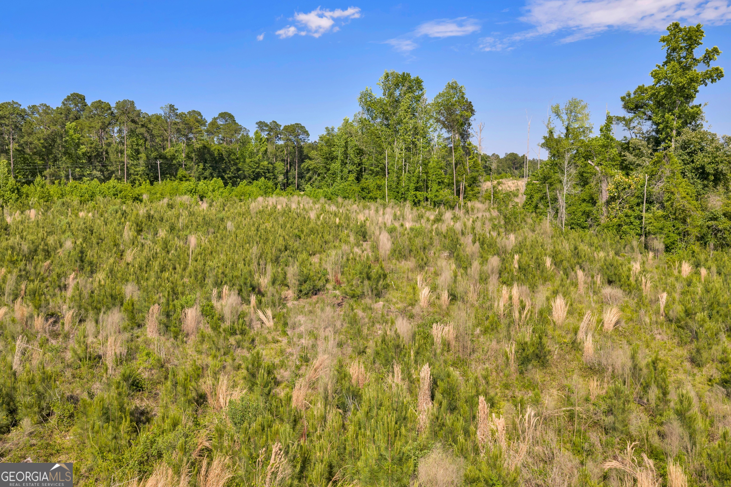 0 Us 82 Sylvester GA 31791